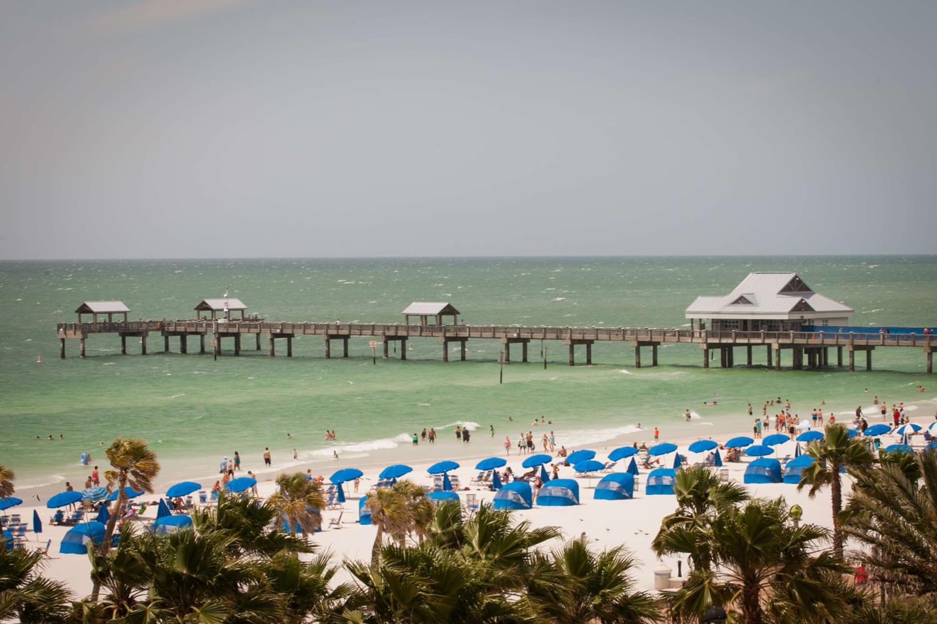 Hyatt Regency Clearwater Beach Resort and Suites gallery photo in Clearwater Beach, FL — image 65