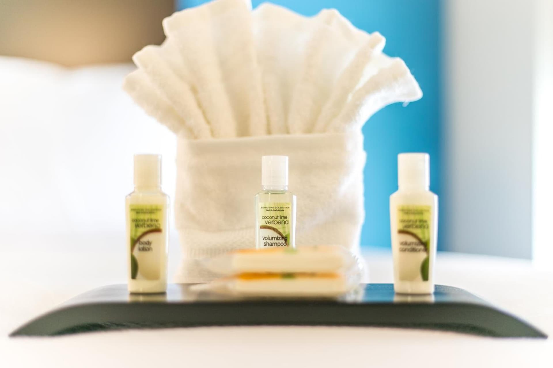 Holiday Inn & Suites Chattanooga Downtown by IHG gallery photo in Chattanooga, TN — image 5