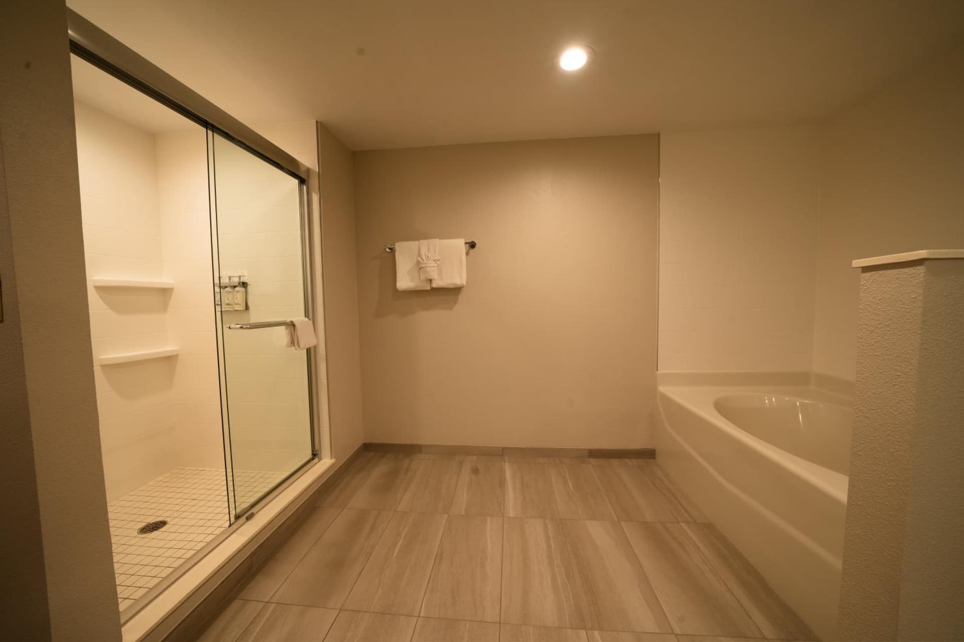 Holiday Inn Express Hotel & Suites Tampa-Oldsmar by IHG gallery photo in Oldsmar, FL — image 4
