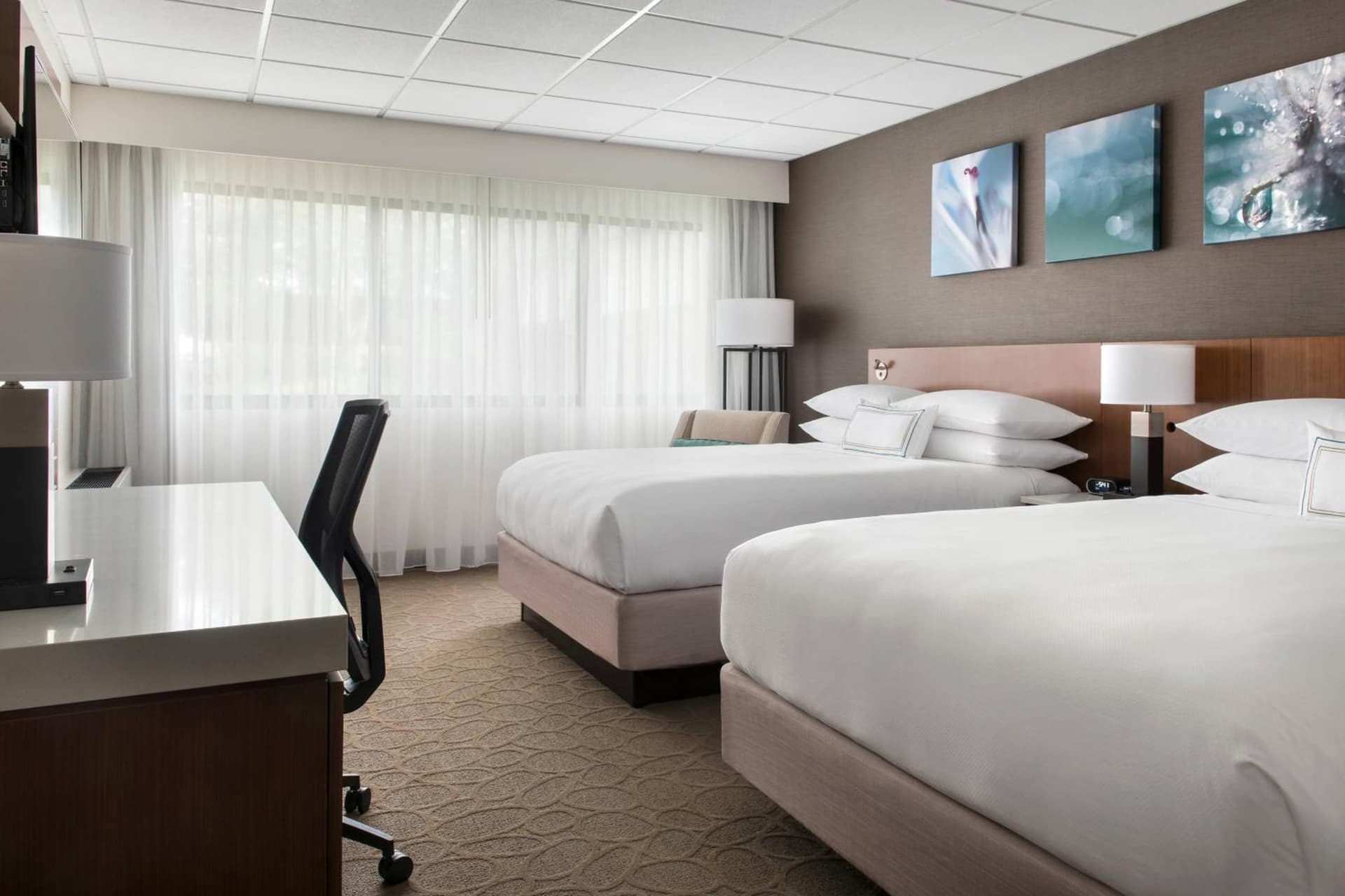 Delta Hotels by Marriott Mount Pleasant gallery photo in Racine, WI — image 47