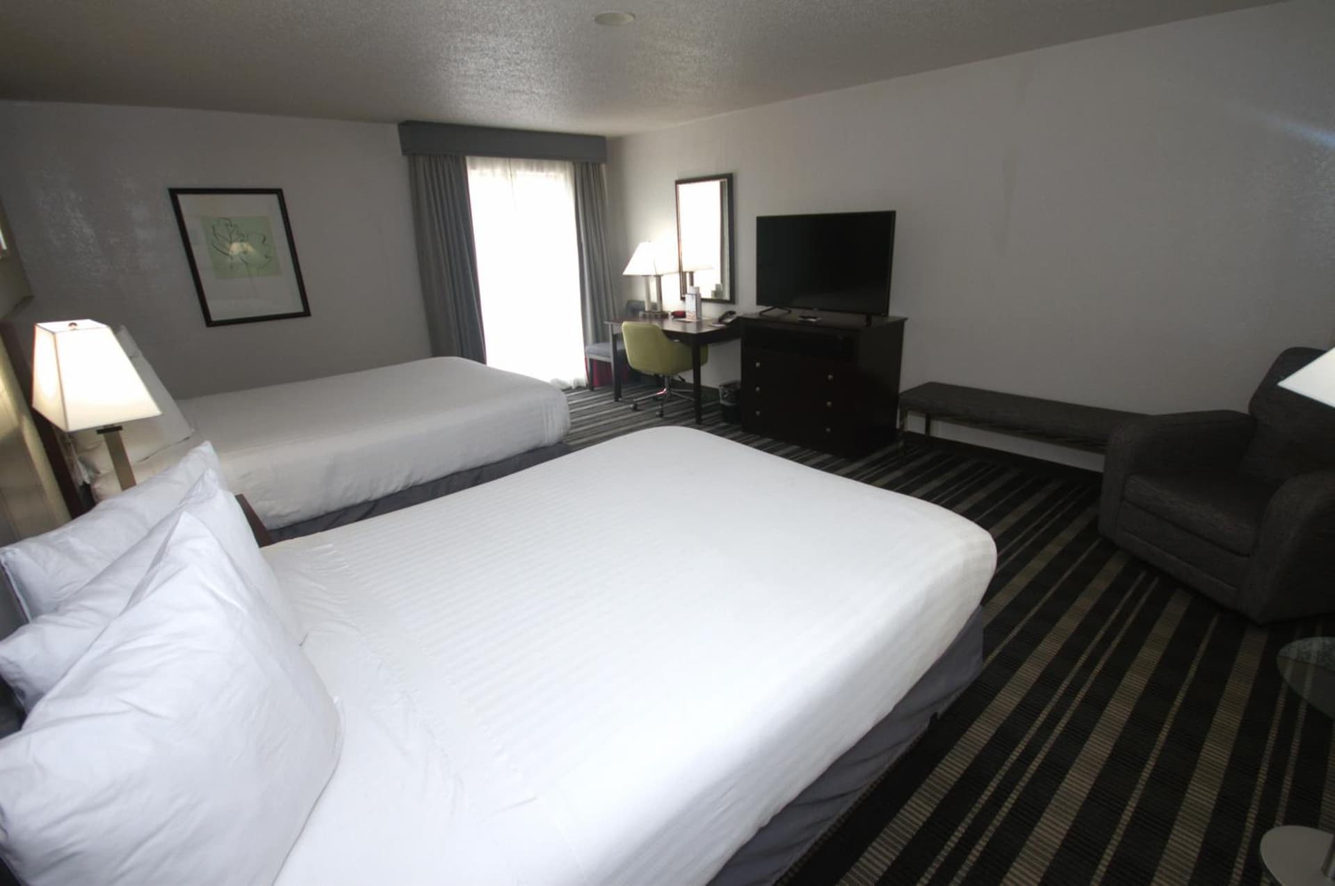 Atrium Hotel and Suites DFW Airport gallery photo in Irving, TX — image 49