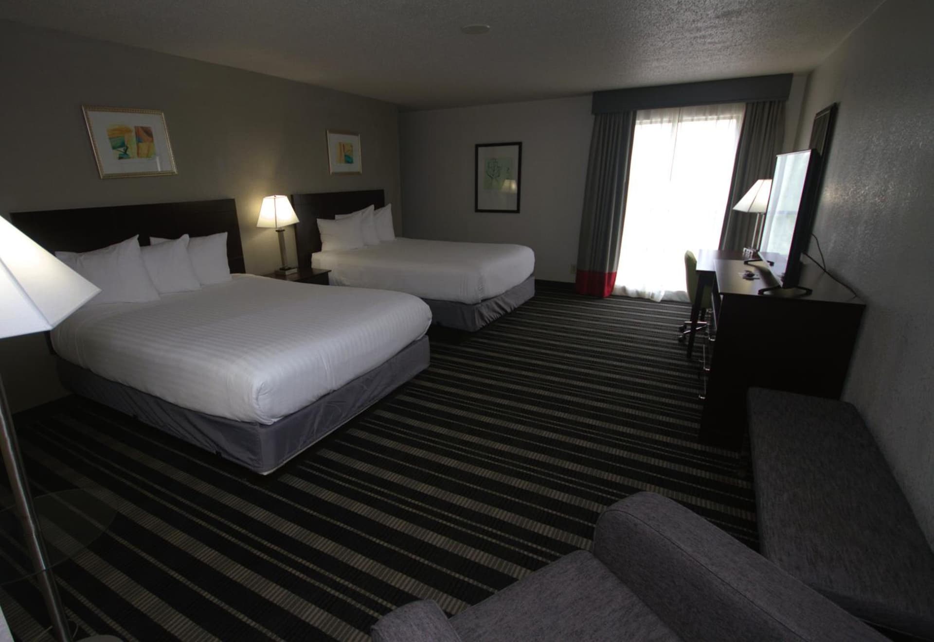 Atrium Hotel and Suites DFW Airport gallery photo in Irving, TX — image 101
