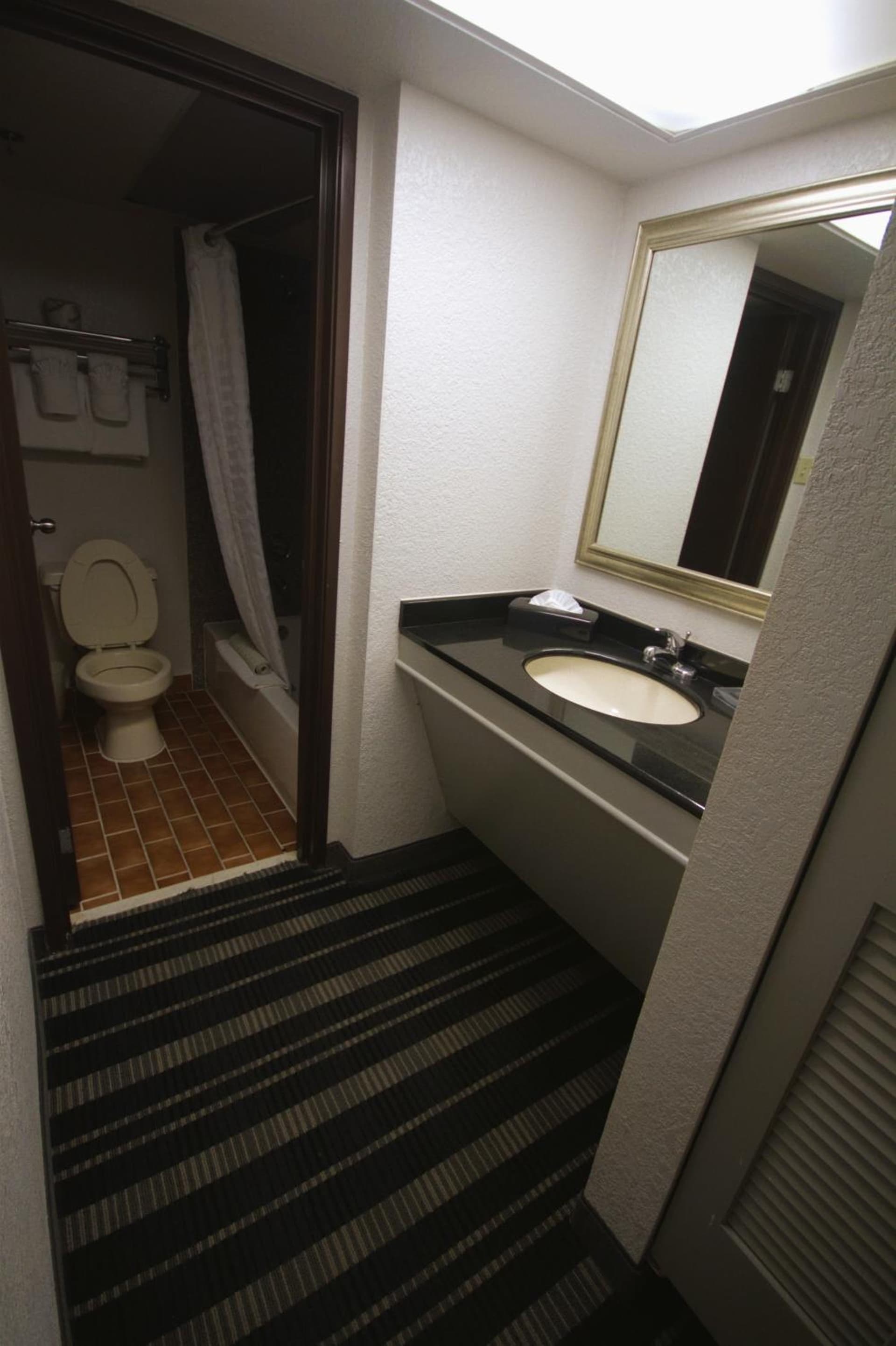 Atrium Hotel and Suites DFW Airport gallery photo in Irving, TX — image 69