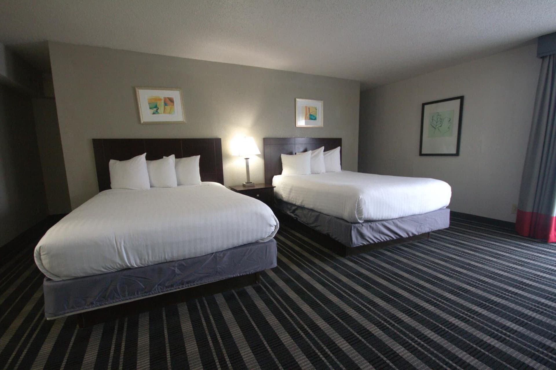 Atrium Hotel and Suites DFW Airport gallery photo in Irving, TX — image 65