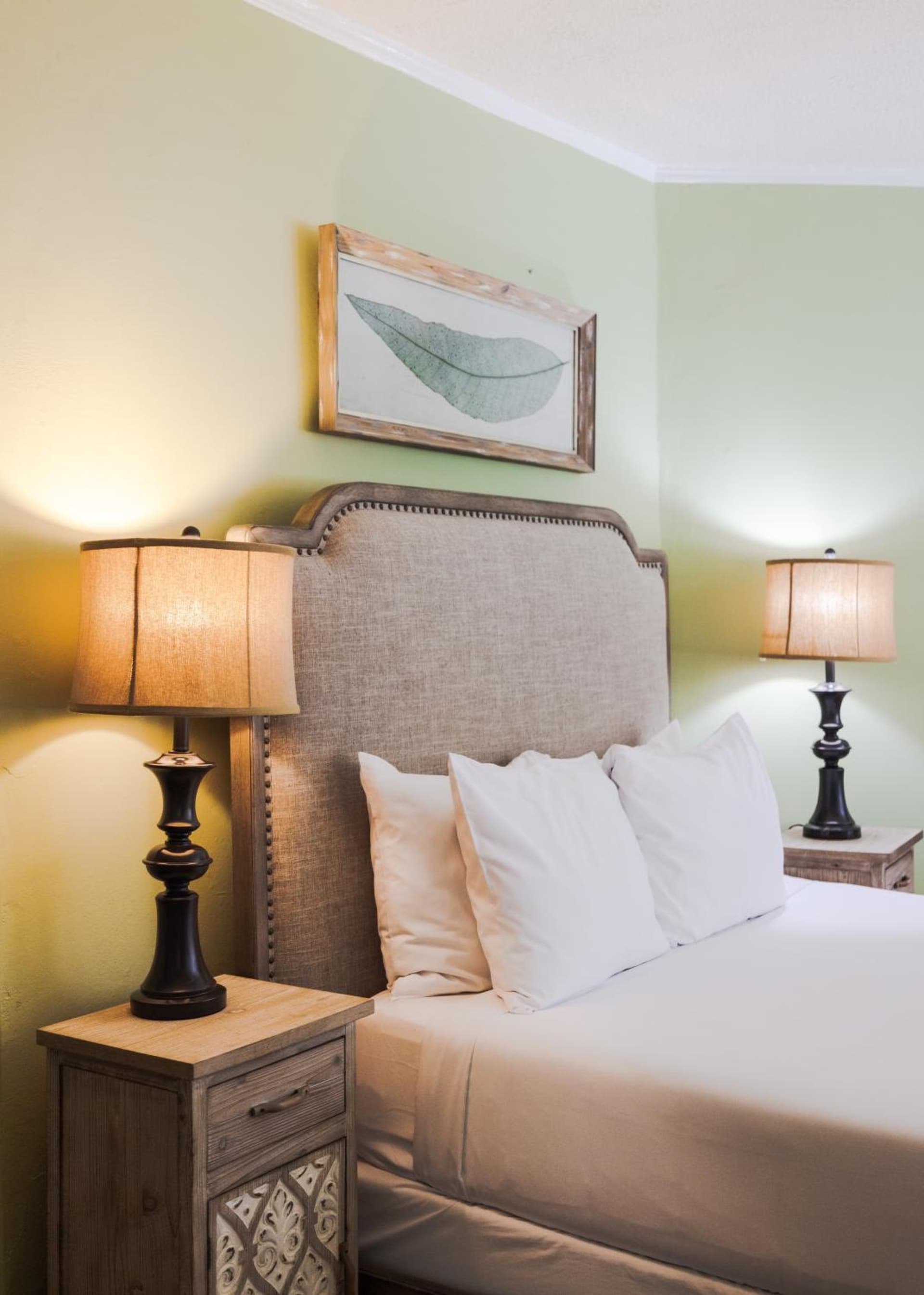 Princess Anne Boutique Hotel gallery photo in Asheville, NC — image 115