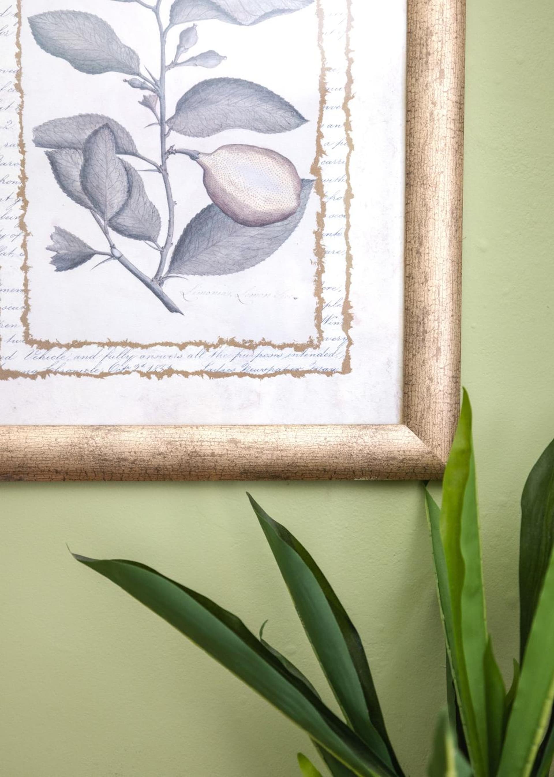 Princess Anne Boutique Hotel gallery photo in Asheville, NC — image 117