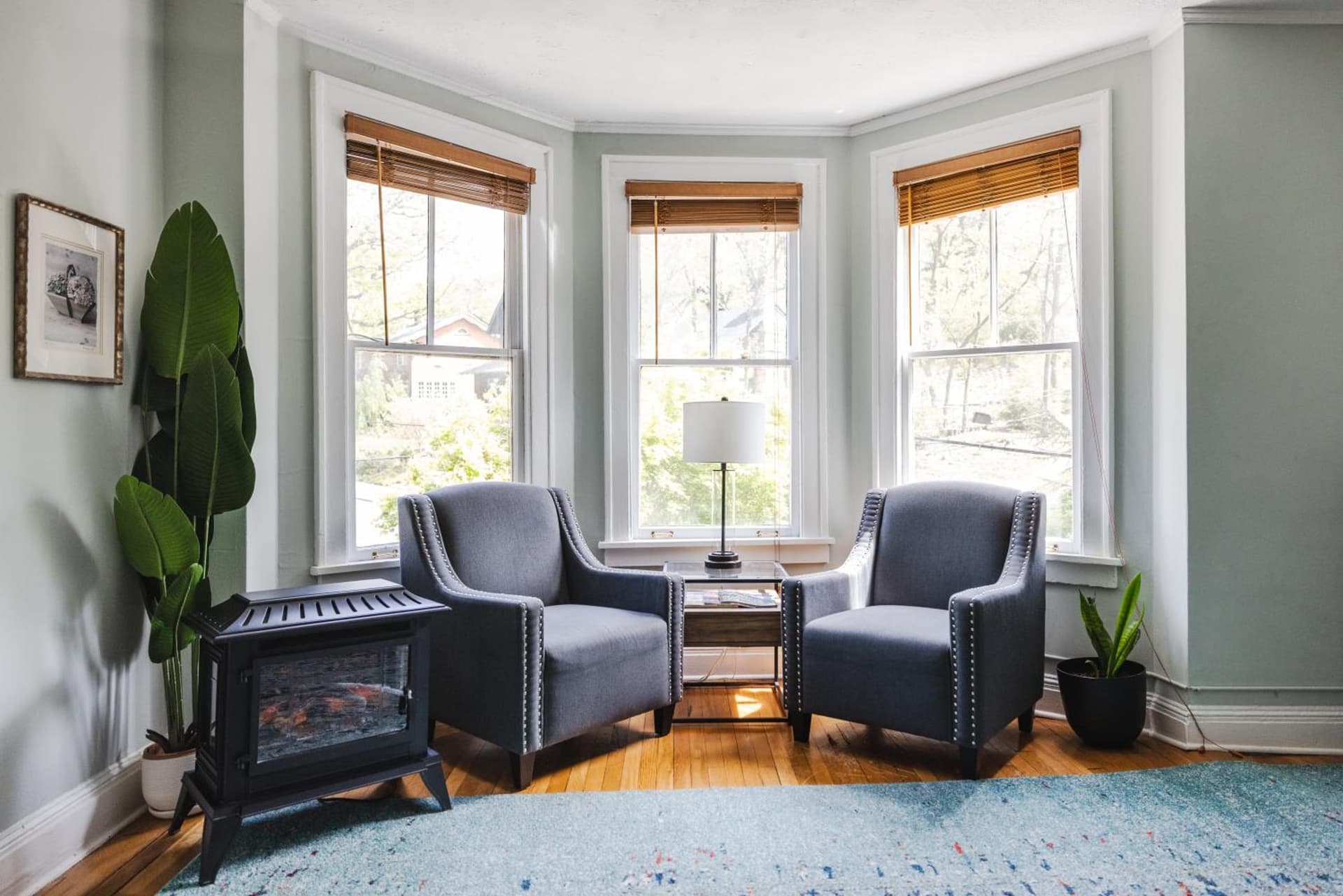 Princess Anne Boutique Hotel gallery photo in Asheville, NC — image 22