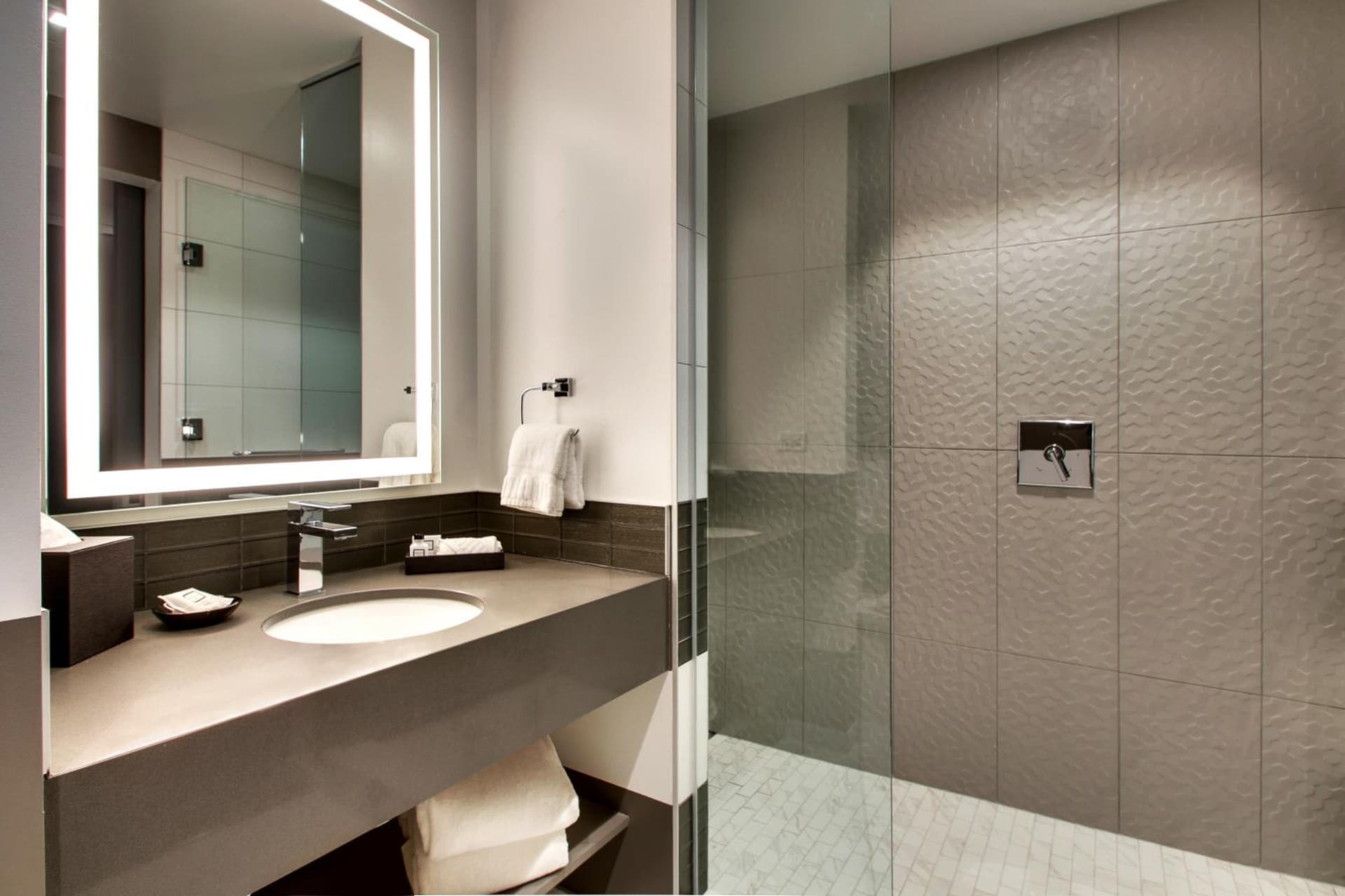 The Rose Chicago, Tapestry Collection By Hilton gallery photo in Rosemont, IL — image 35