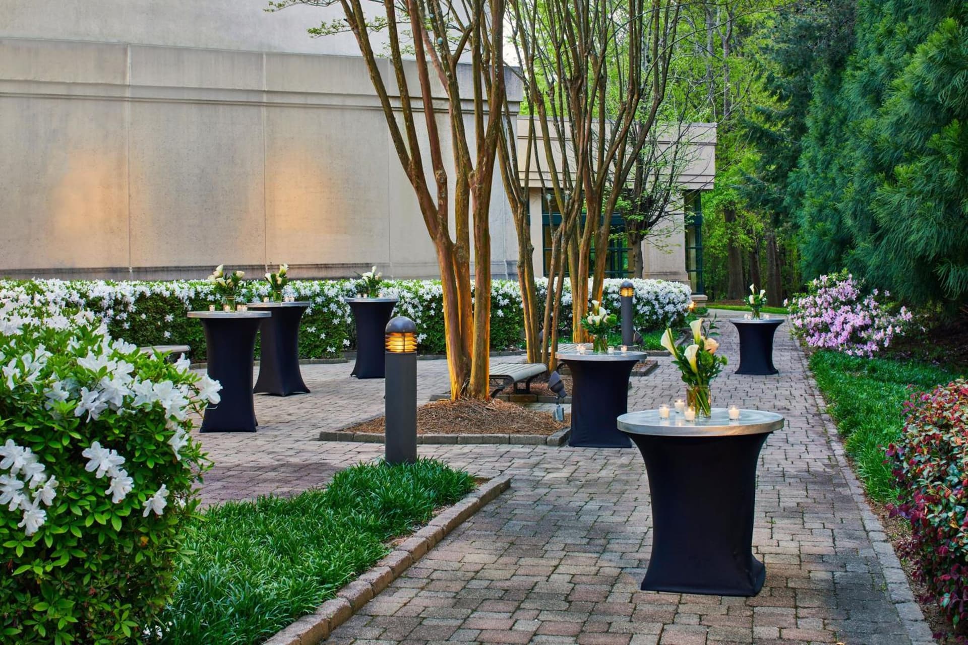 Atlanta Marriott Alpharetta gallery photo in Alpharetta, GA — image 56