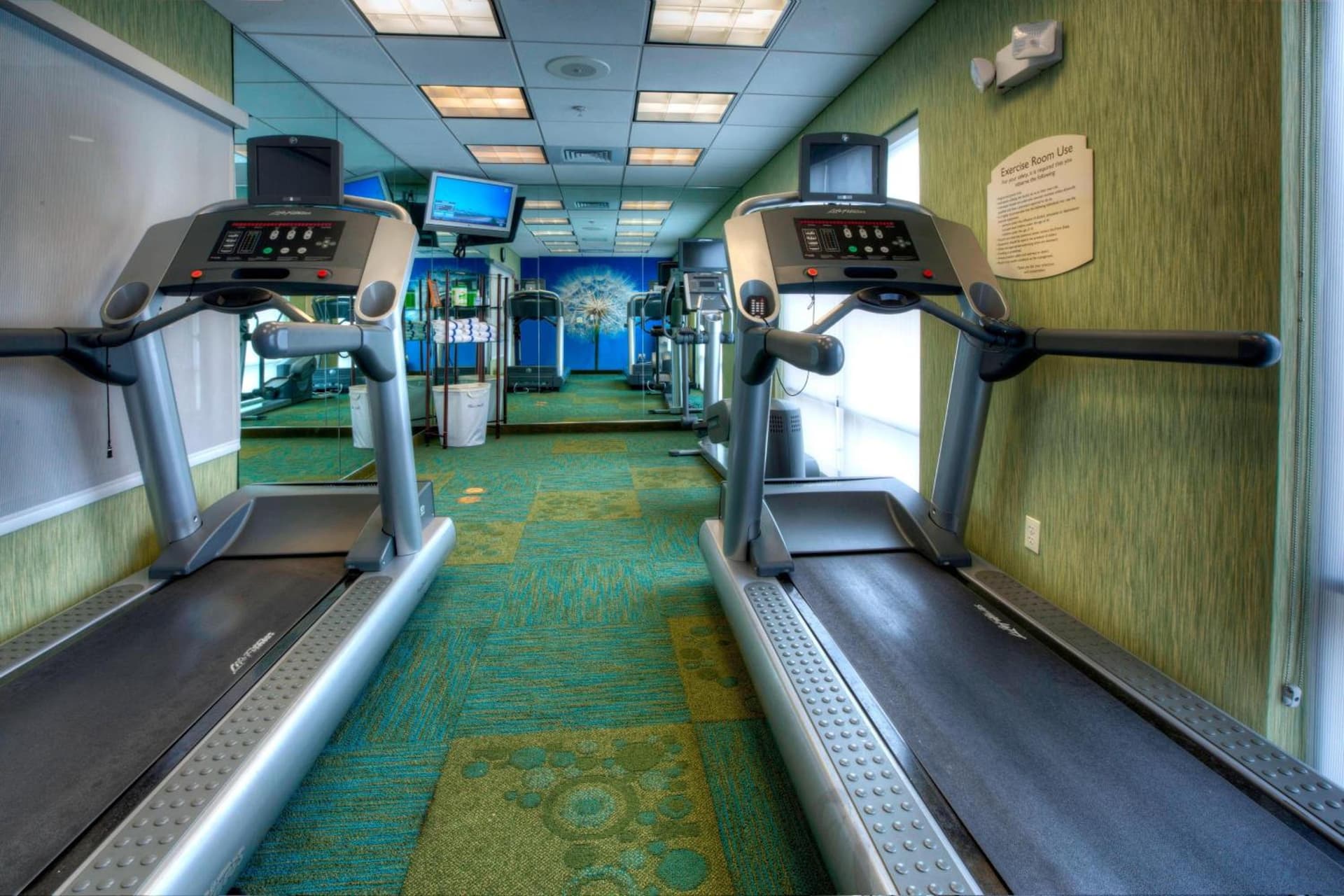 SpringHill Suites by Marriott - Tampa Brandon gallery photo in Tampa, FL — image 7