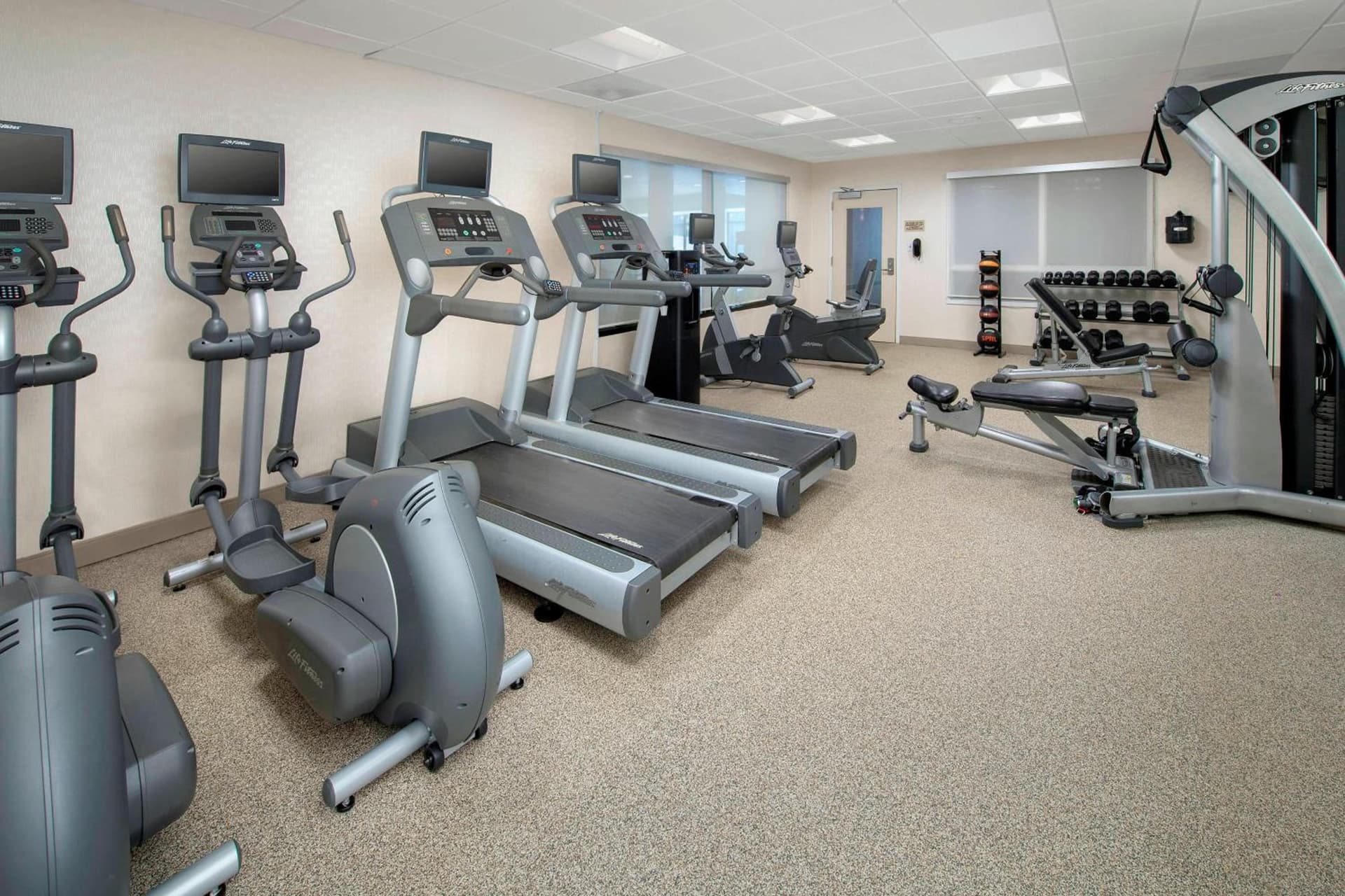 SpringHill Suites Alexandria gallery photo in Alexandria, VA — image 14