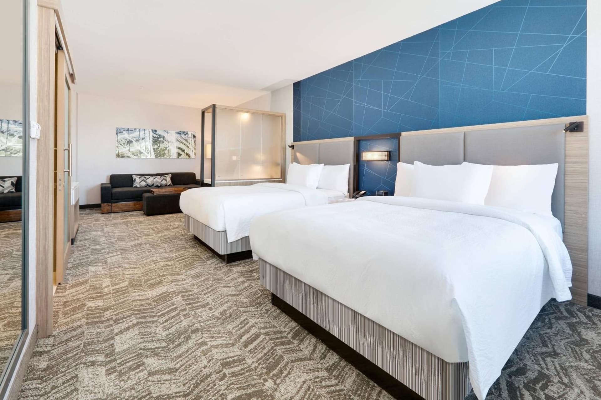 SpringHill Suites by Marriott Dallas Mansfield gallery photo in Mansfield, TX — image 25