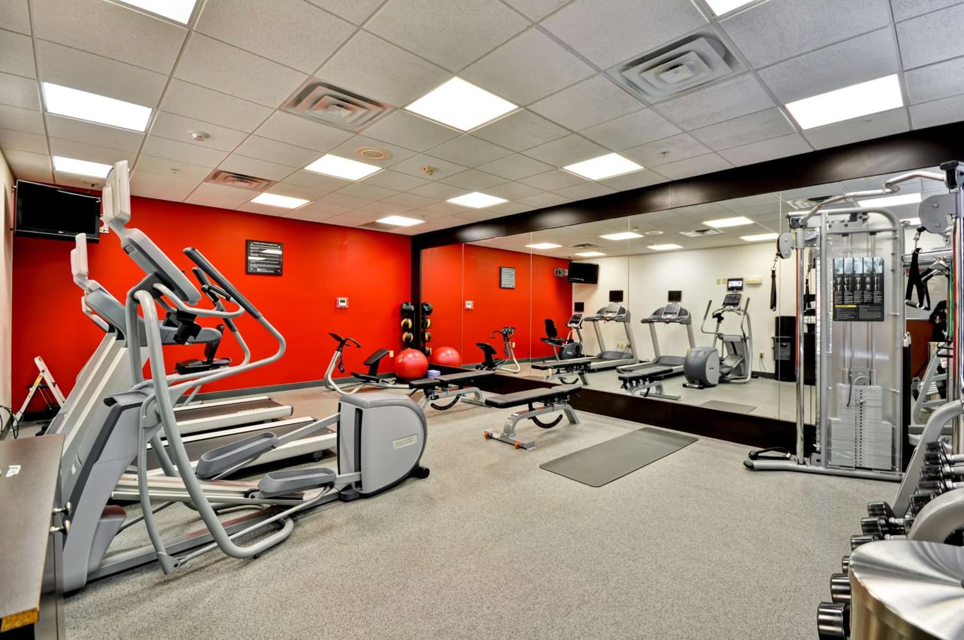 Hilton Garden Inn Tampa Northwest/Oldsmar gallery photo in Oldsmar, FL — image 8