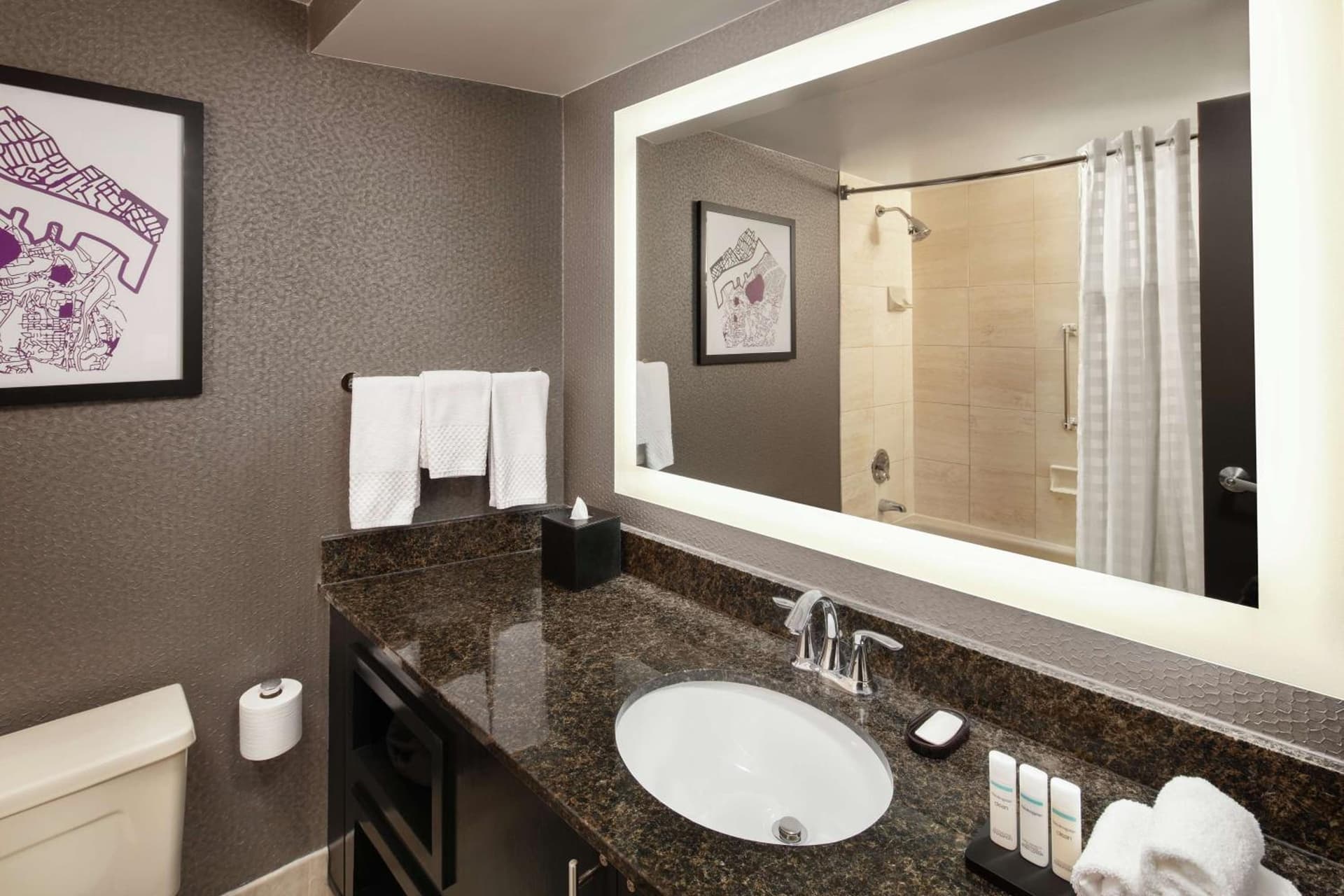 Embassy Suites by Hilton Crystal City National Airport property views in Arlington, VA — gallery photo 3