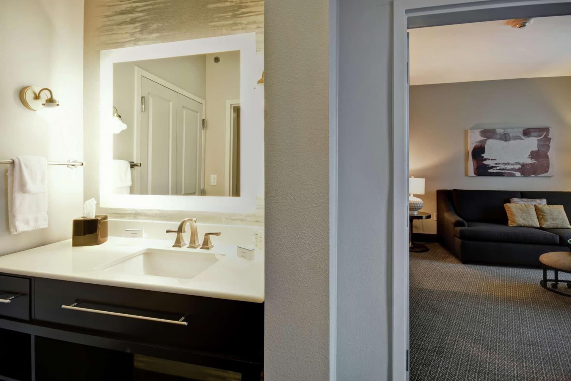 Homewood Suites by Hilton Dallas Arlington South gallery photo in Arlington, TX — image 22