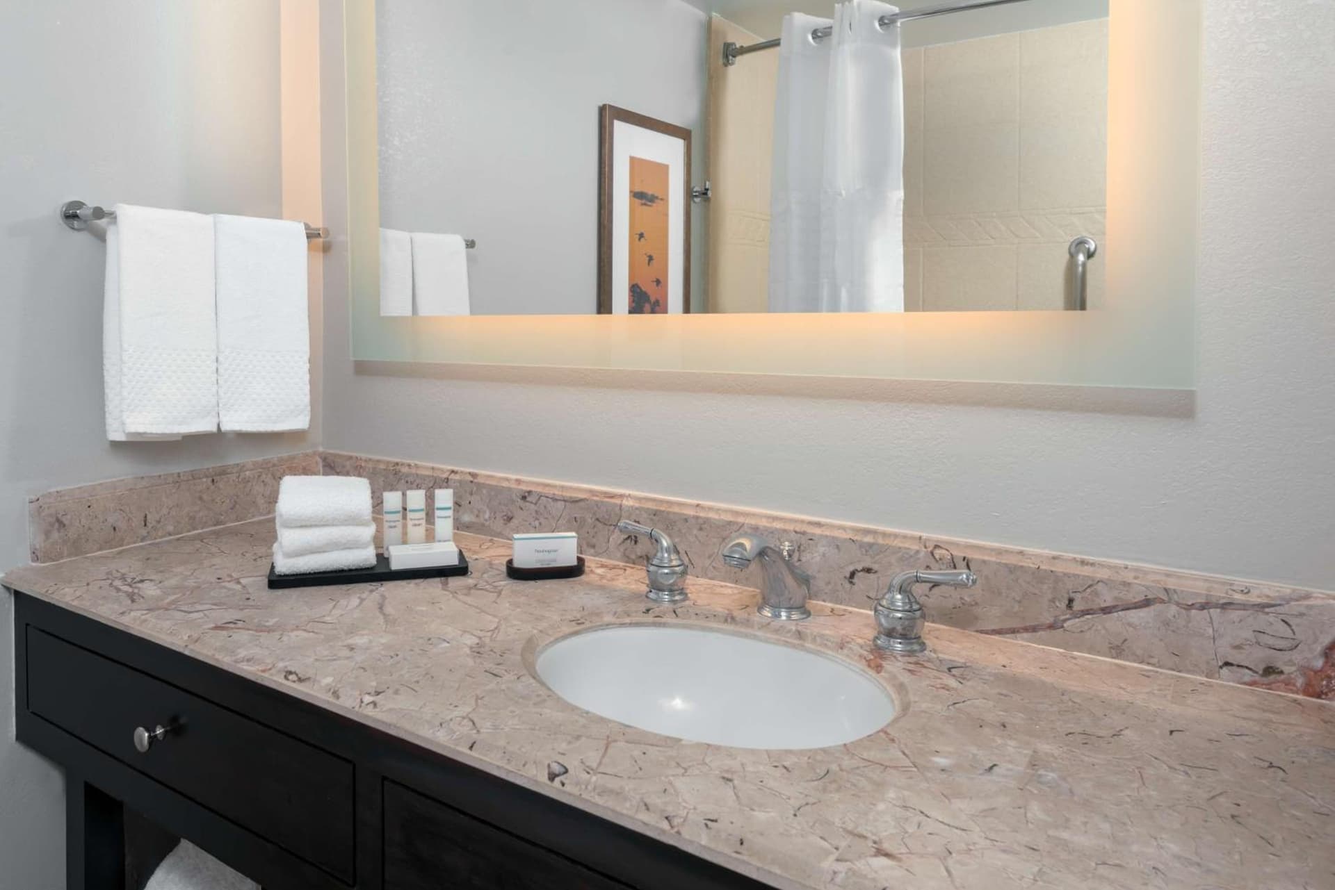 Embassy Suites Dallas - Park Central Area gallery photo in Dallas, TX — image 9