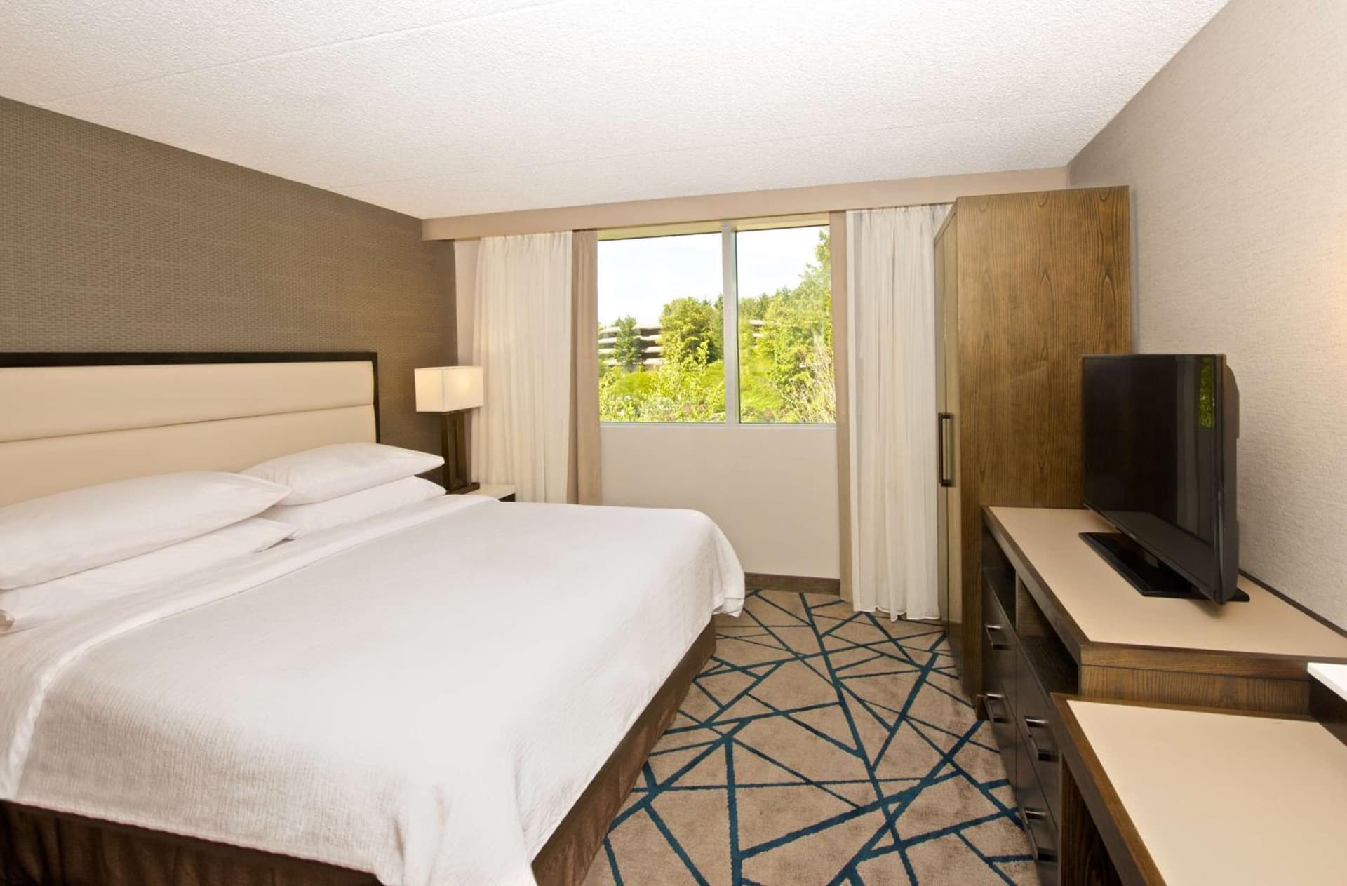 Embassy Suites by Hilton Seattle Bellevue gallery photo in Bellevue, WA — image 29