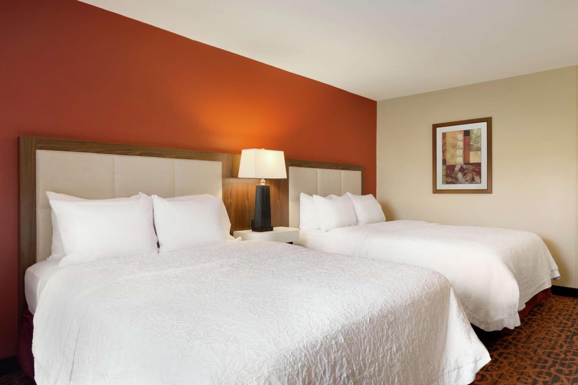 Hampton Inn Wichita Falls-Sikes Senter Mall gallery photo in Wichita Falls, TX — image 8