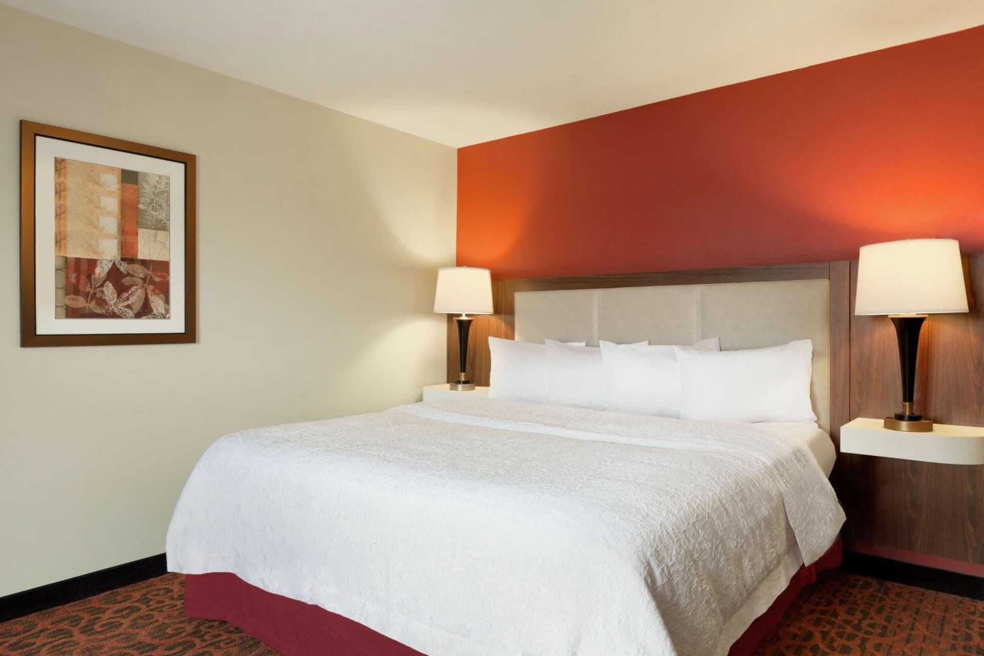 Hampton Inn Wichita Falls-Sikes Senter Mall gallery photo in Wichita Falls, TX — image 25