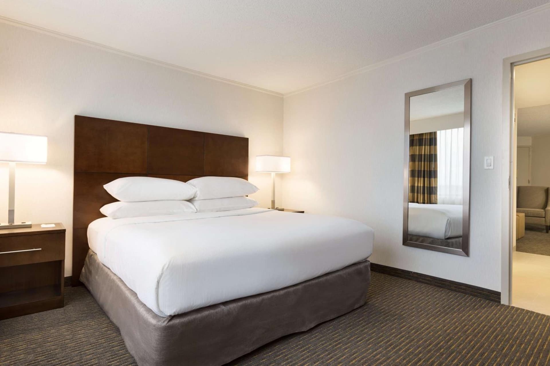 Embassy Suites by Hilton Baltimore at BWI Airport gallery photo in Linthicum Heights, MD — image 17