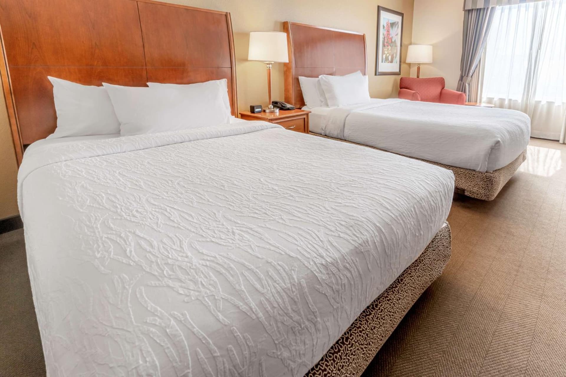 Hilton Garden Inn Houston/The Woodlands gallery photo in The Woodlands, TX — image 24