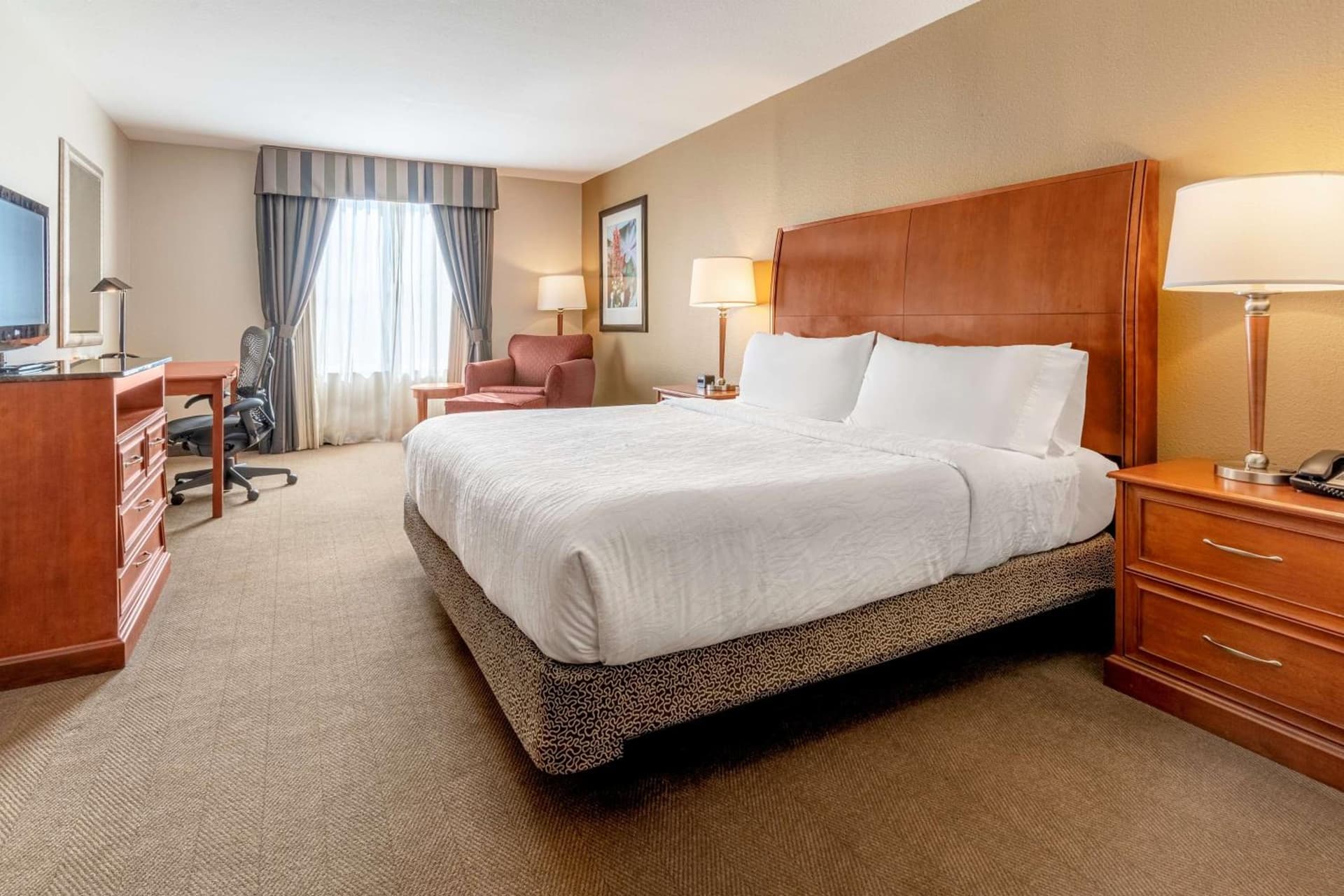Hilton Garden Inn Houston/The Woodlands gallery photo in The Woodlands, TX — image 16