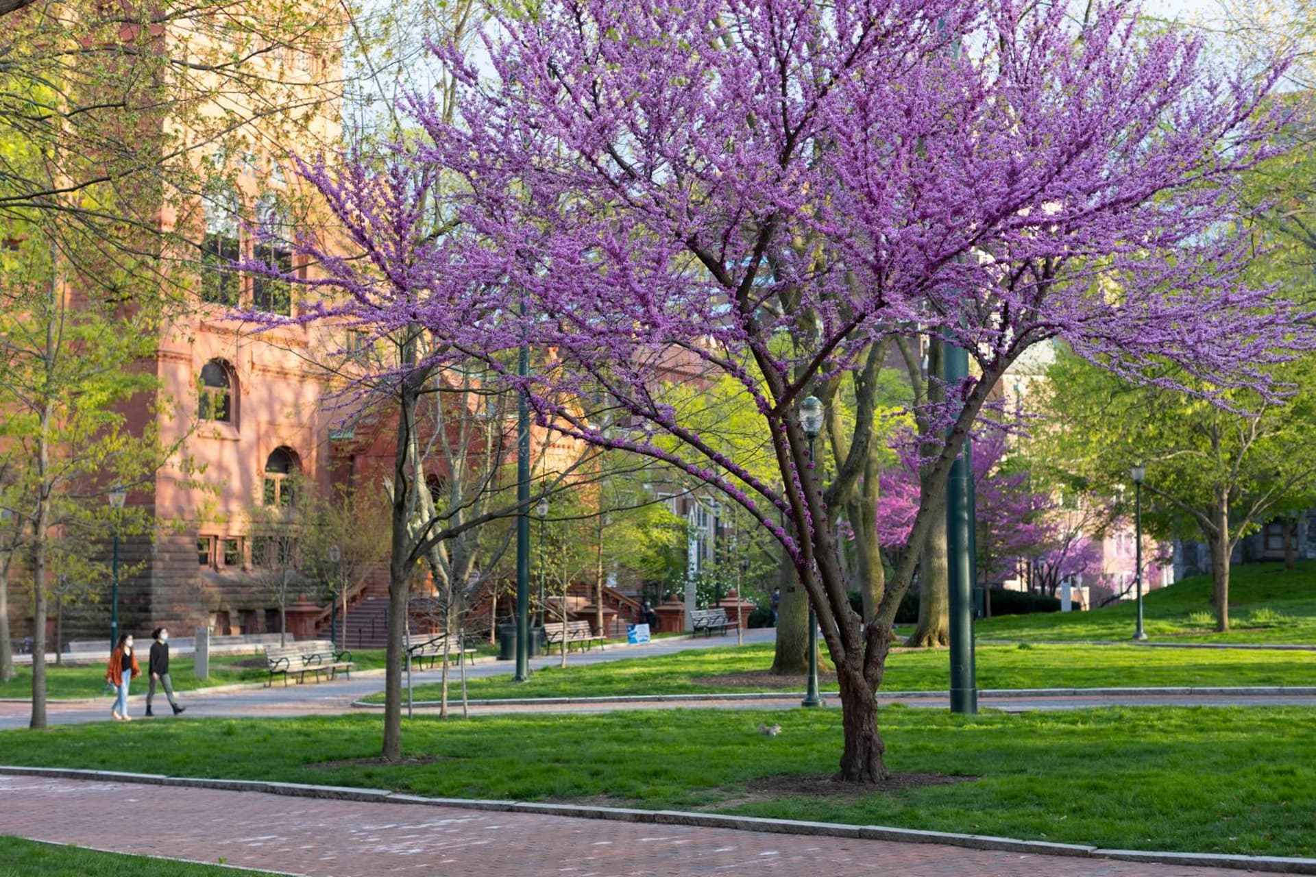 The Inn at Penn, A Hilton Hotel gallery photo in Philadelphia, PA — image 46
