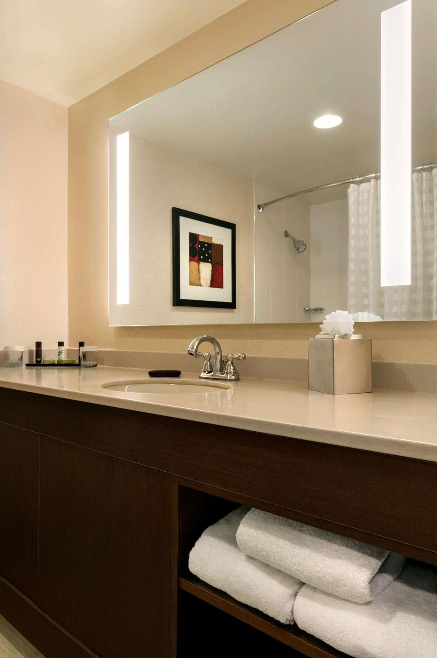 Embassy Suites by Hilton Chicago North Shore Deerfield gallery photo in Deerfield, IL — image 39