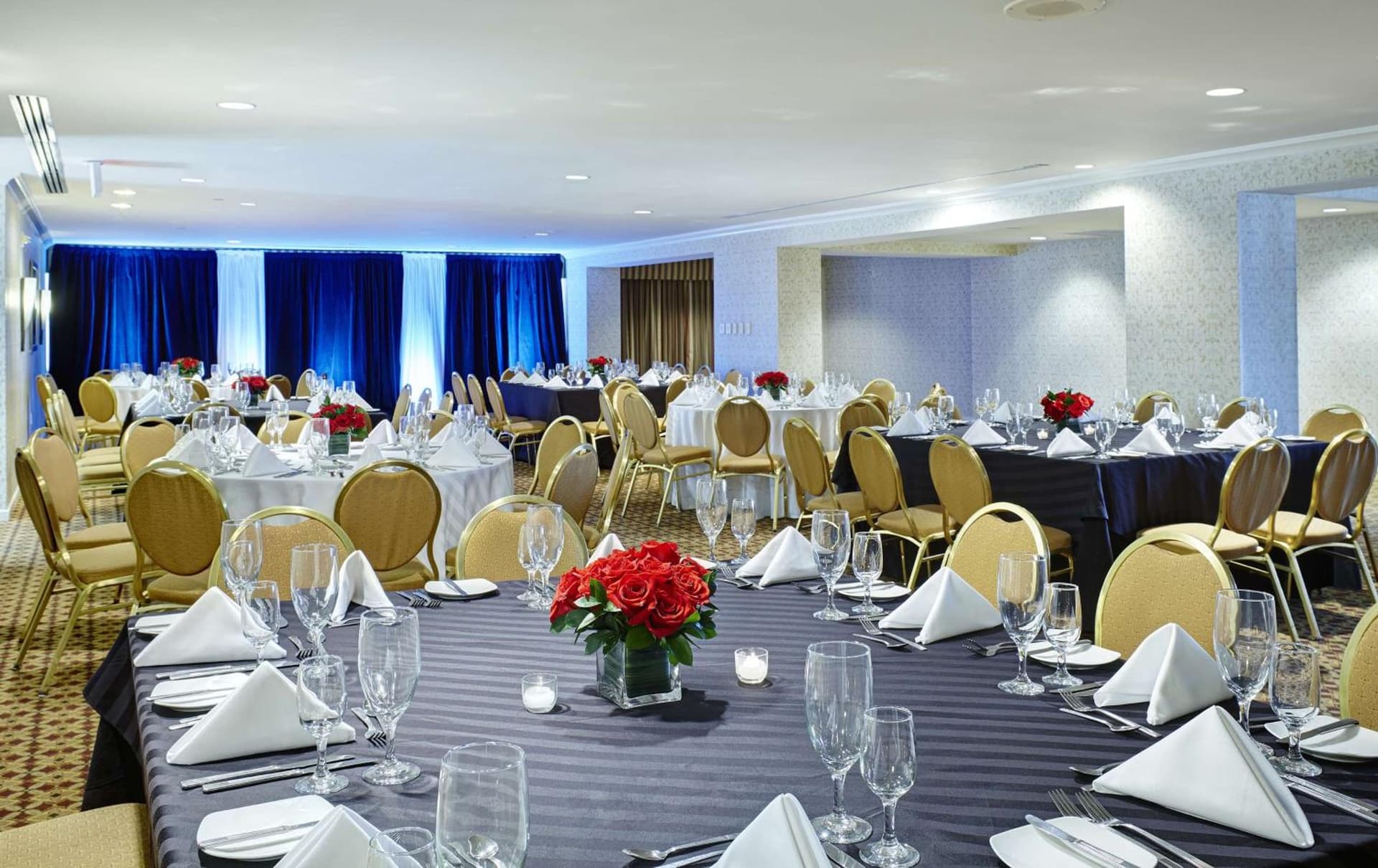 DoubleTree by Hilton Washington DC – Crystal City gallery photo in Arlington, VA — image 67