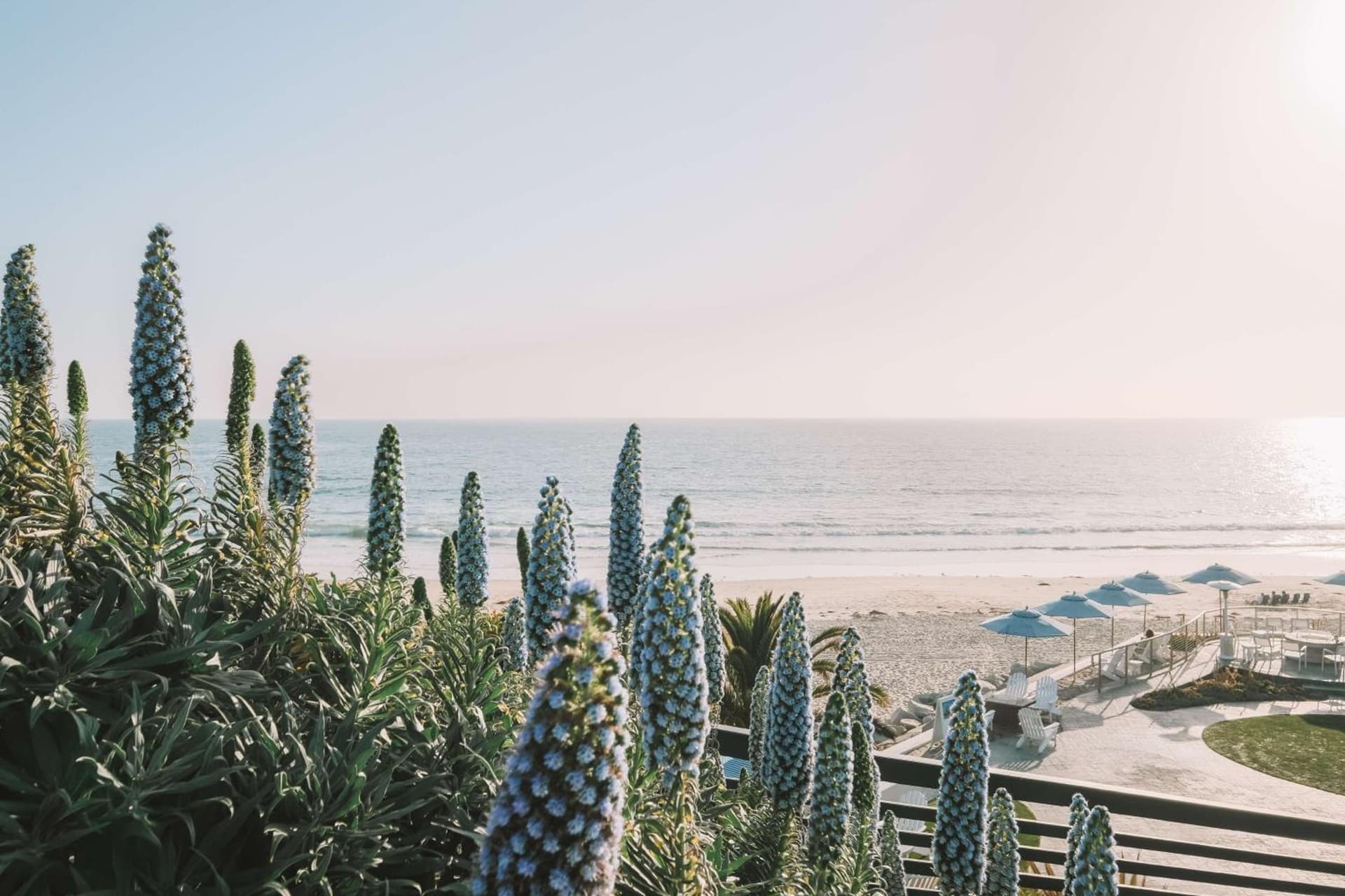 Waldorf Astoria Monarch Beach Resort & Club gallery photo in Dana Point, CA — image 121