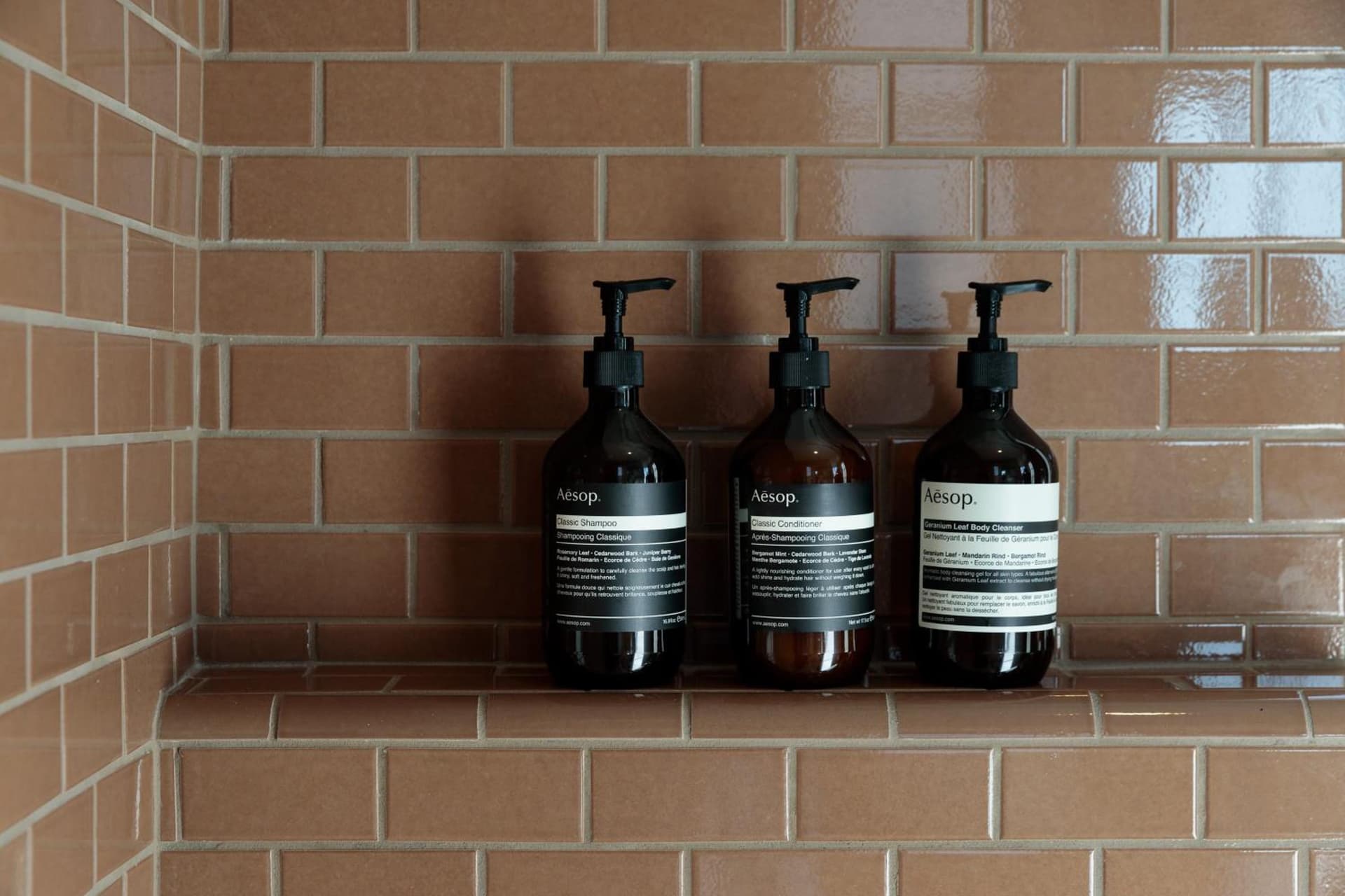 Santa Monica Proper Hotel, a Member of Design Hotels gallery photo in Los Angeles, CA — image 54