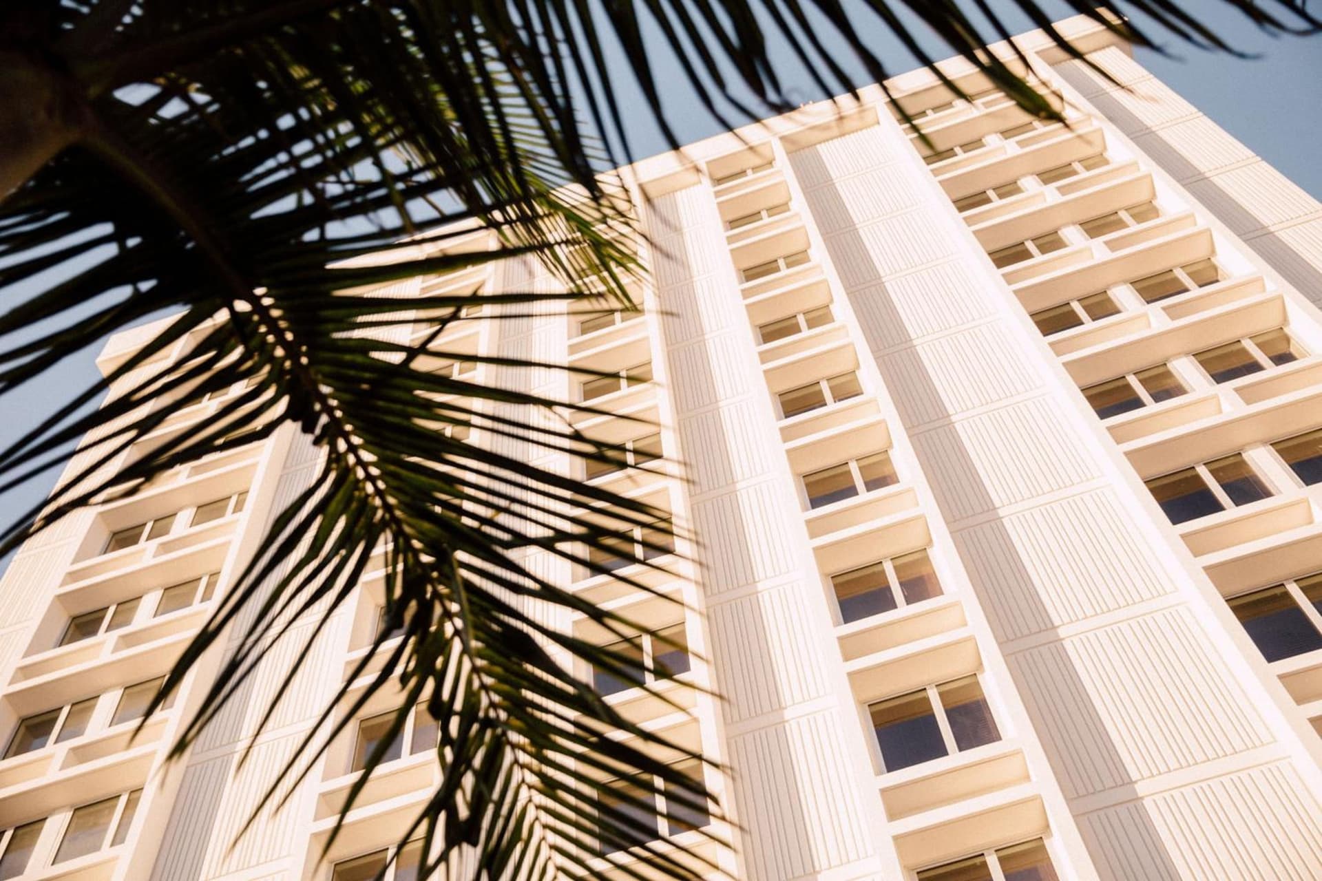 Hotel June West LA, a Member of Design Hotels gallery photo in Los Angeles, CA — image 13