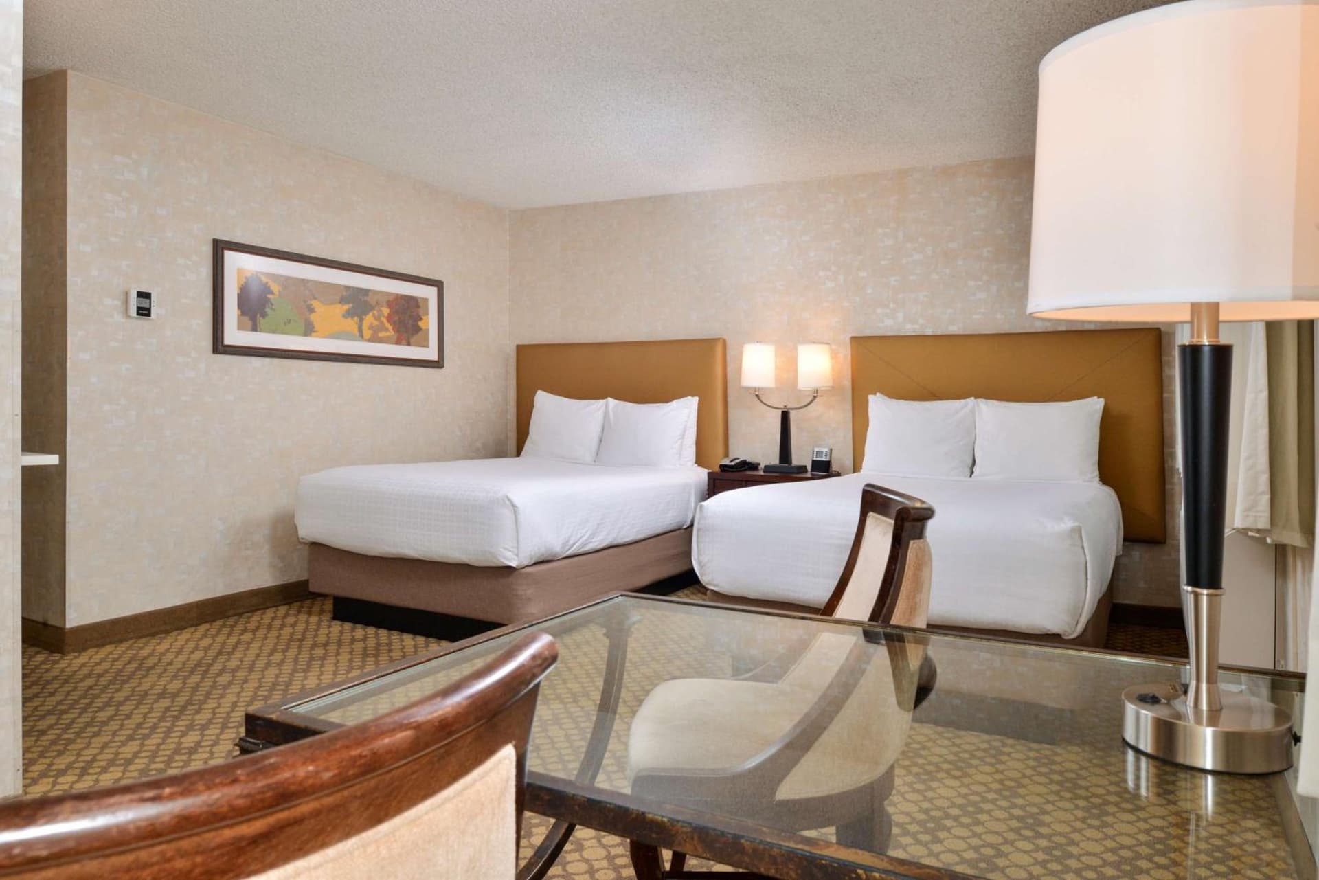 Best Western Corte Madera Inn gallery photo in Corte Madera, CA — image 15