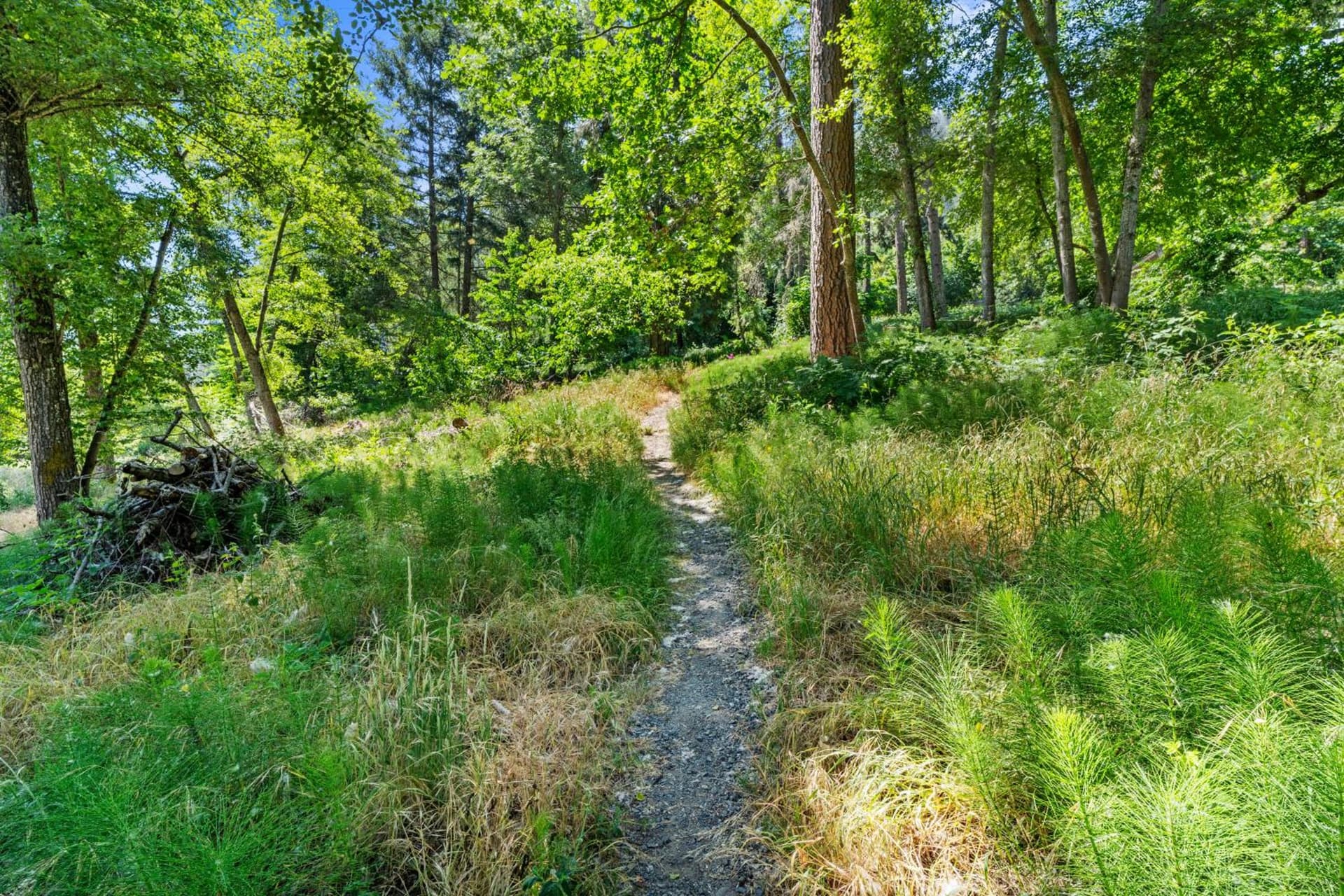 Weasku Inn gallery photo in Grants Pass, OR — image 153