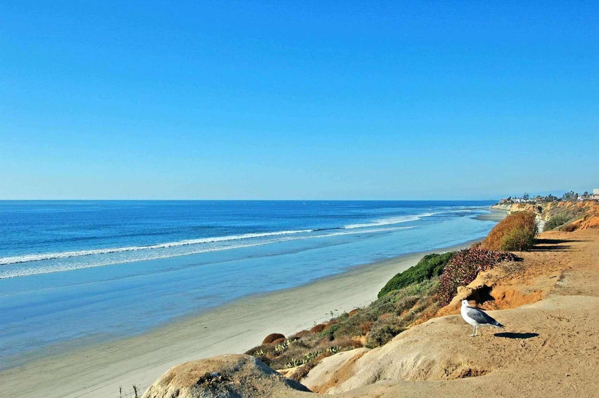 Cape Rey Carlsbad Beach, A Hilton Resort & Spa gallery photo in Carlsbad, CA — image 5