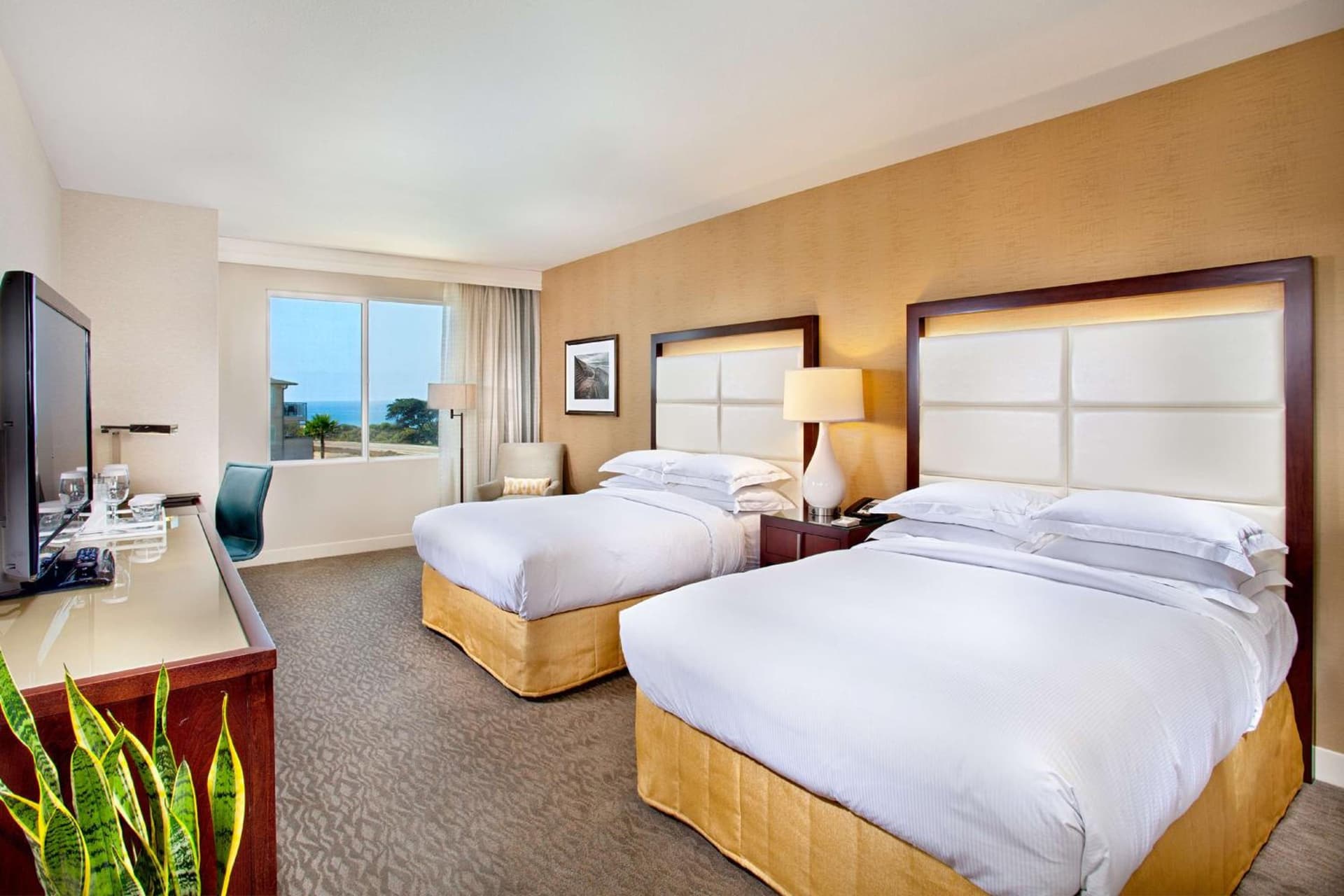 Cape Rey Carlsbad Beach, A Hilton Resort & Spa gallery photo in Carlsbad, CA — image 52