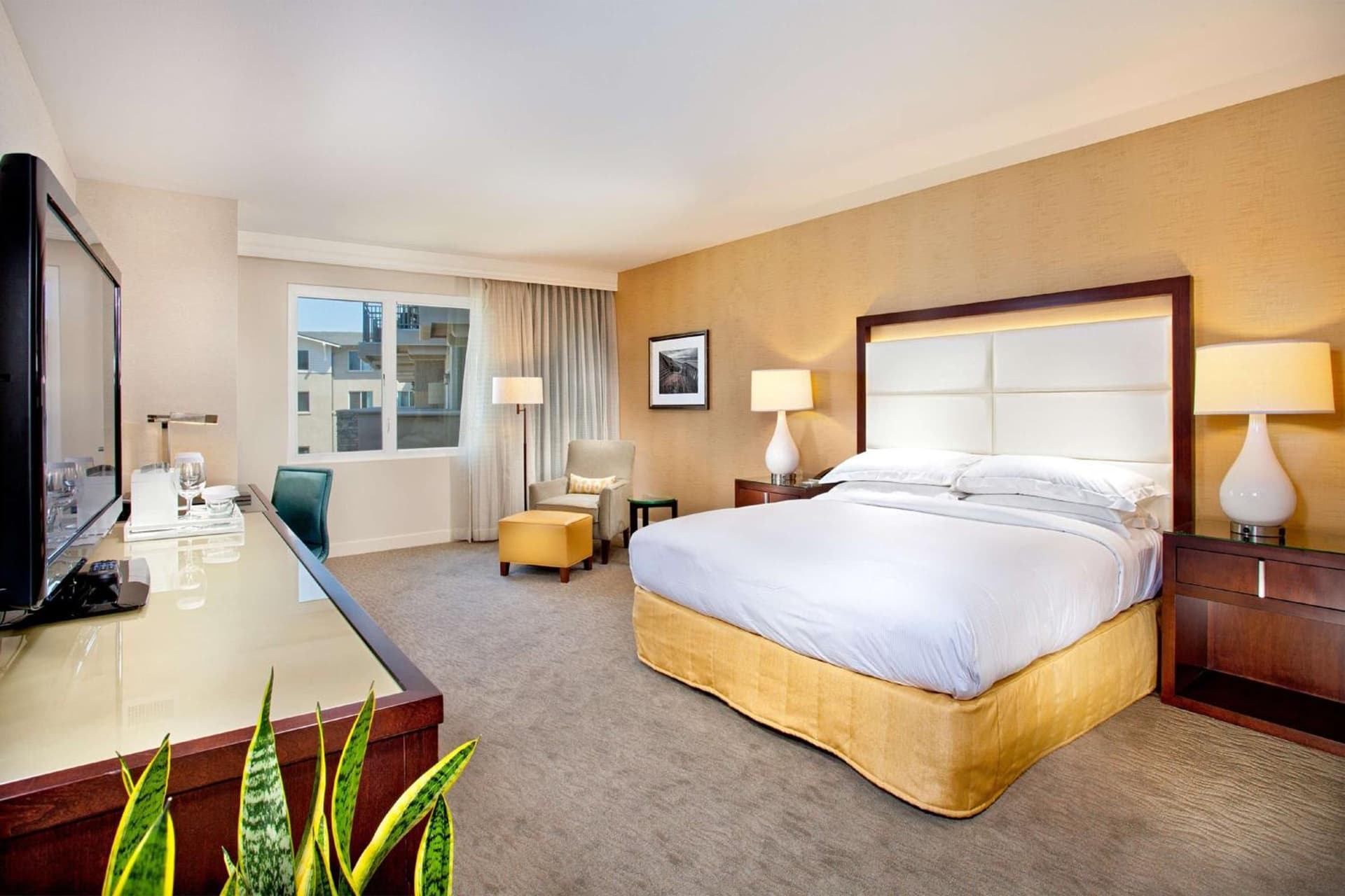 Cape Rey Carlsbad Beach, A Hilton Resort & Spa gallery photo in Carlsbad, CA — image 50
