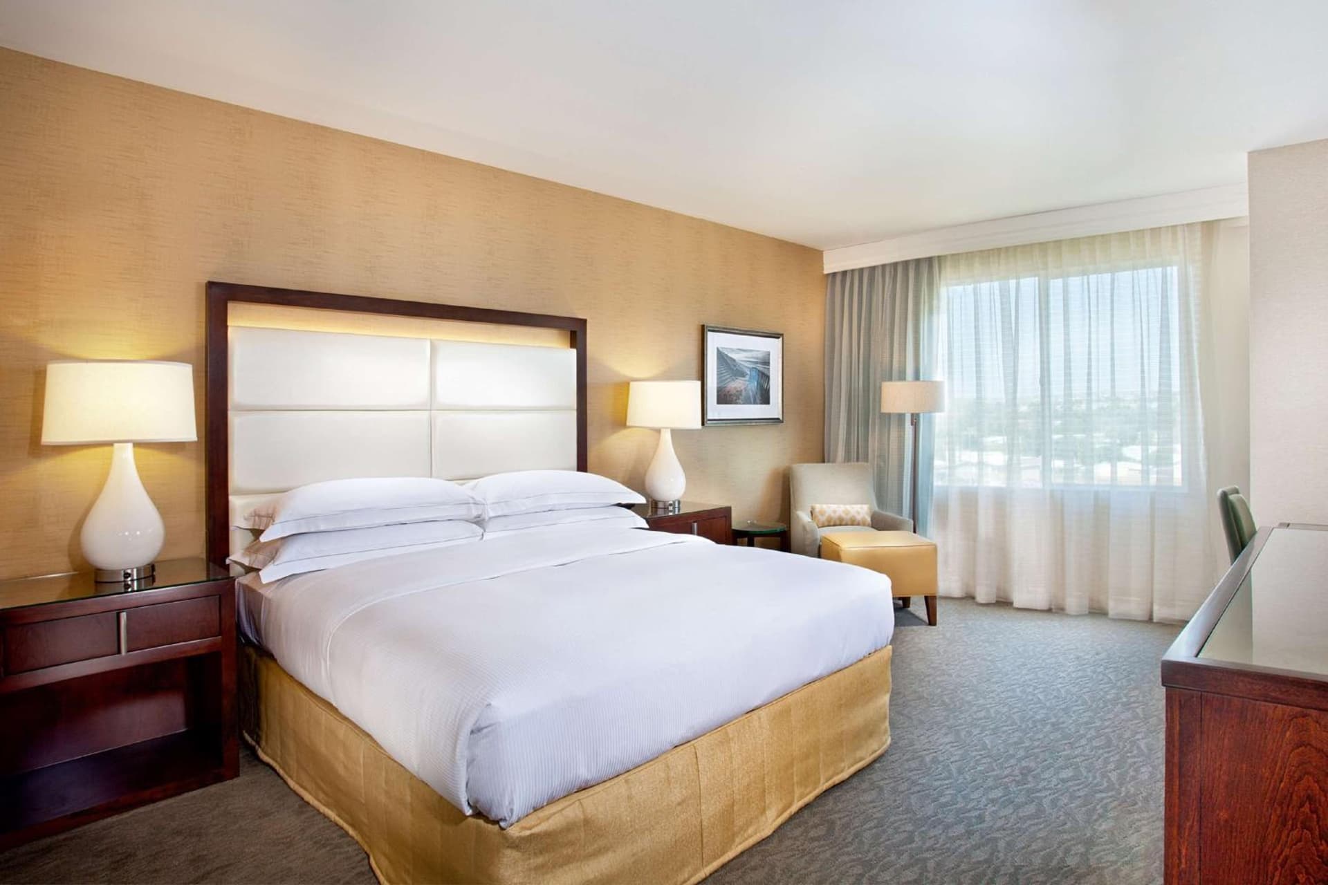 Cape Rey Carlsbad Beach, A Hilton Resort & Spa gallery photo in Carlsbad, CA — image 11