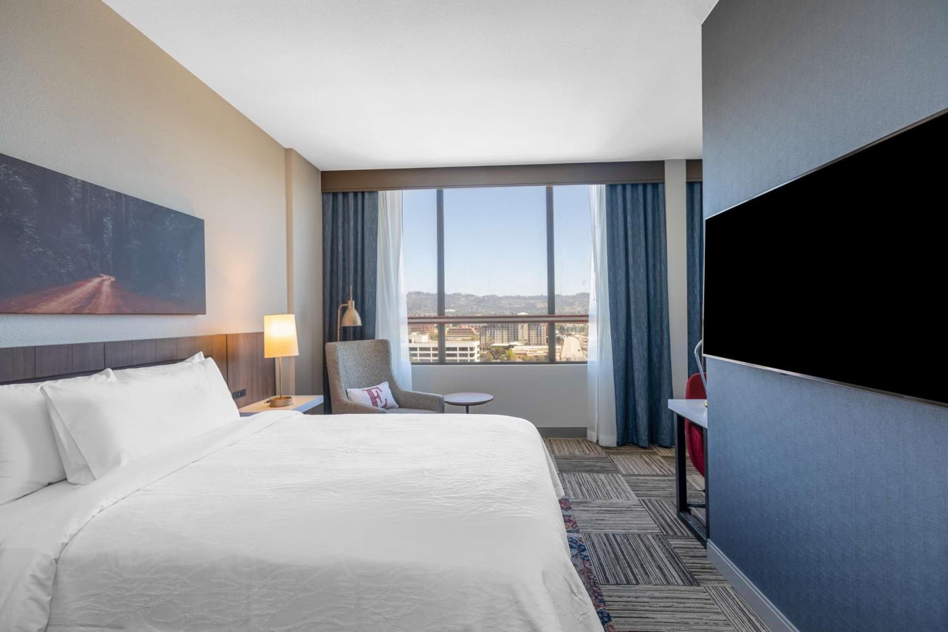 Hilton Garden Inn San Francisco/Oakland Bay Bridge gallery photo in Emeryville, CA — image 11