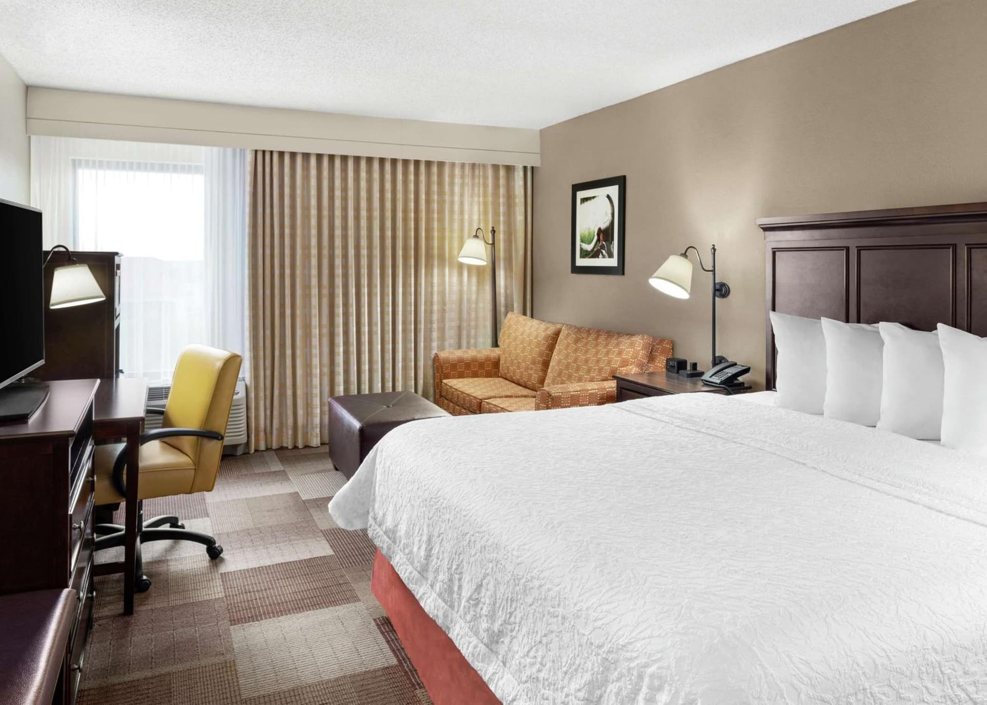Hampton Inn Dallas Irving Las Colinas gallery photo in Irving, TX — image 13