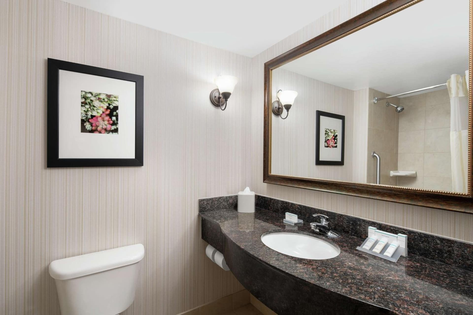 Hilton Garden Inn Denver Highlands Ranch gallery photo in Highlands Ranch, CO — image 26