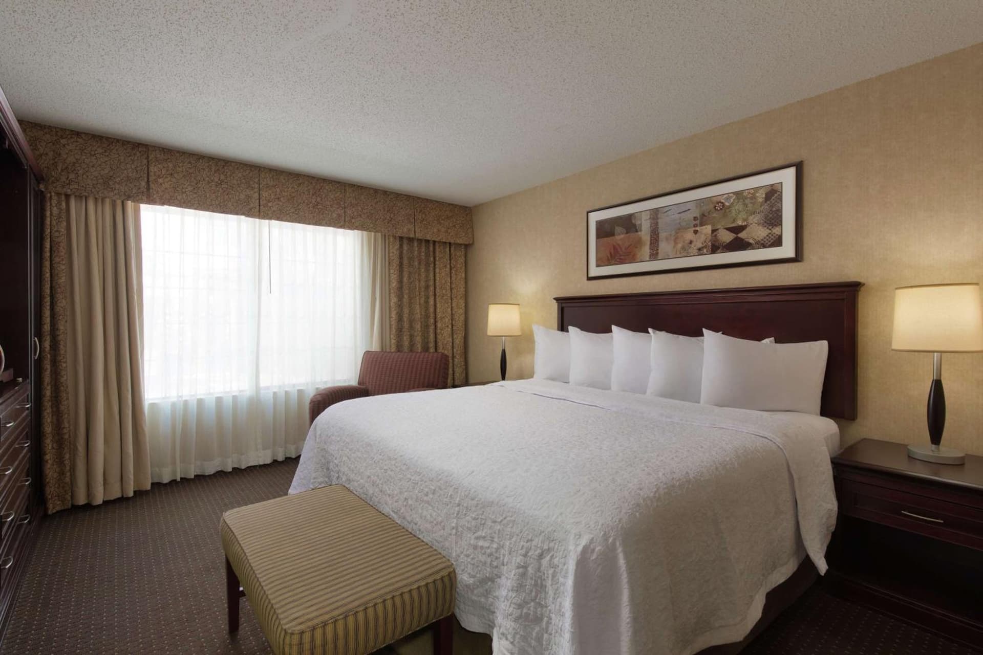 Embassy Suites Lubbock gallery photo in Lubbock, TX — image 29
