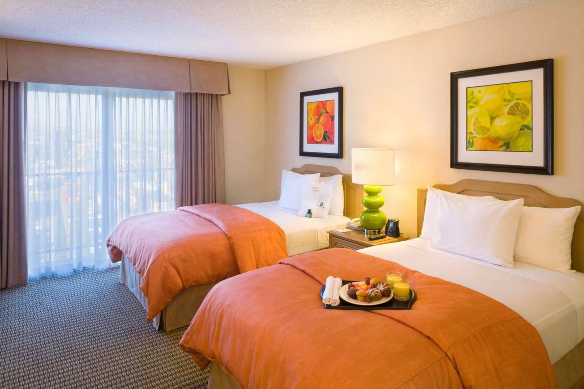 Embassy Suites by Hilton Anaheim North gallery photo in Anaheim, CA — image 17