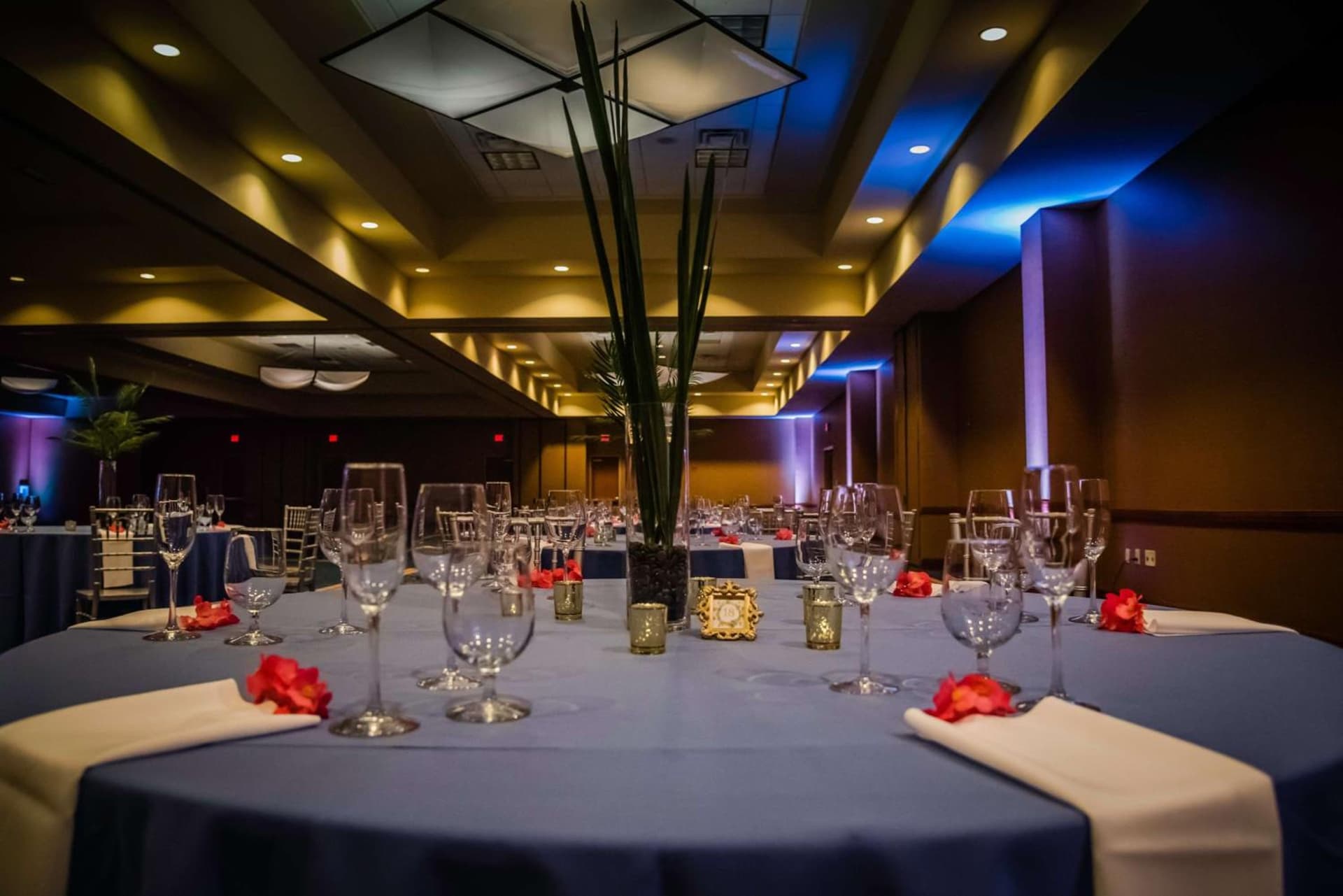 Hilton St. Petersburg Carillon Park gallery photo in St Petersburg, FL — image 7