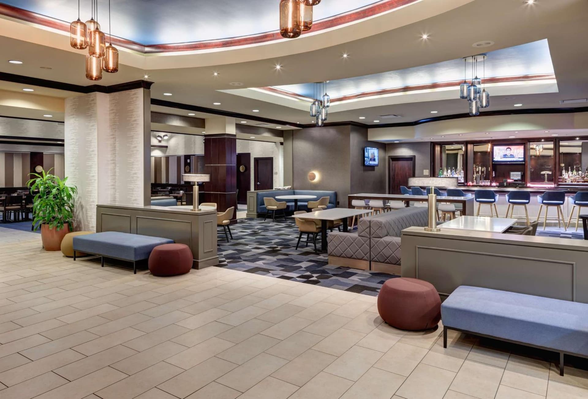 Embassy Suites by Hilton Tampa Brandon gallery photo in Tampa, FL — image 19