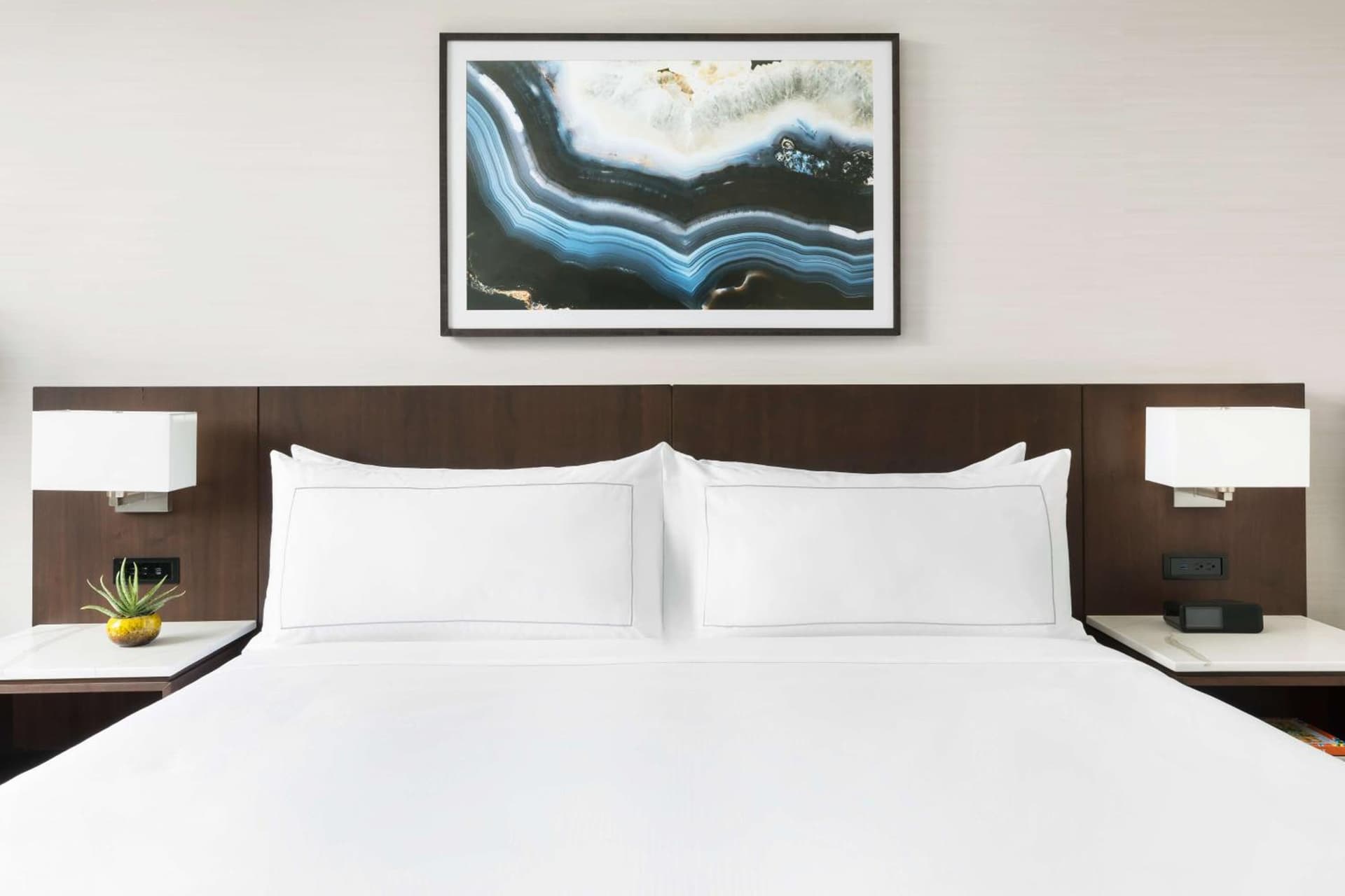 Doubletree By Hilton Tucson Downtown Convention Center gallery photo in Tucson, AZ — image 58
