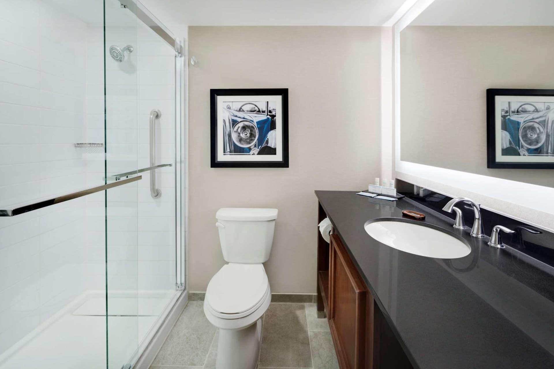 Embassy Suites by Hilton Detroit Troy Auburn Hills gallery photo in Troy, MI — image 35