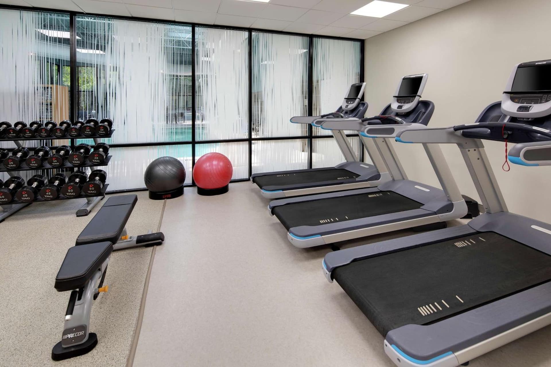 Embassy Suites by Hilton Atlanta Perimeter Center property views in Atlanta, GA — gallery photo 3