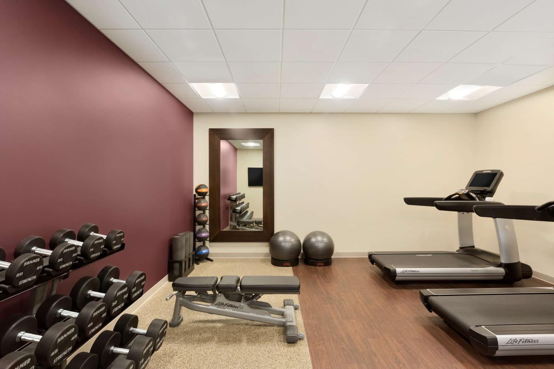 Embassy Suites by Hilton Phoenix Downtown North gallery photo in Phoenix, AZ — image 41
