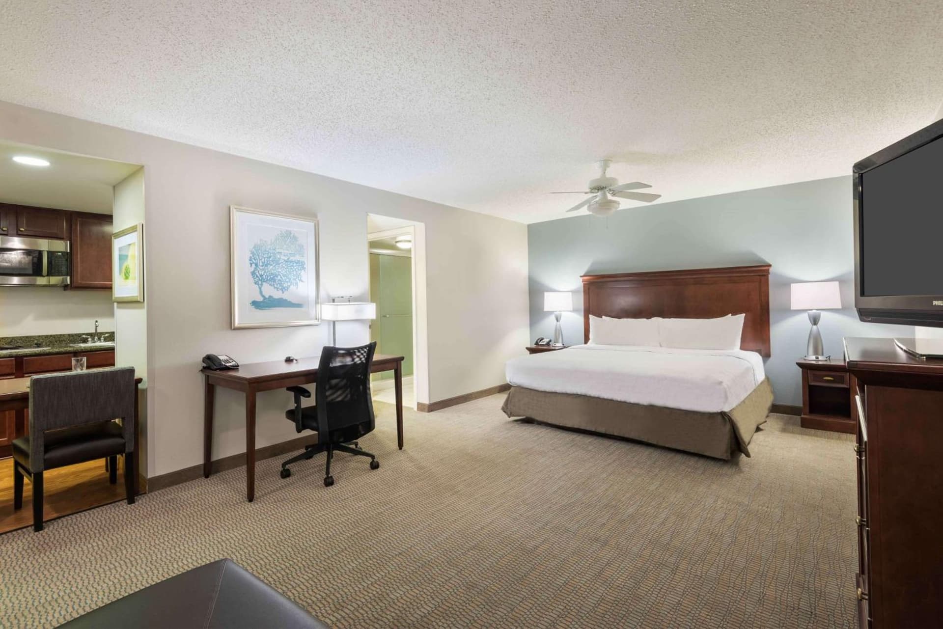 Homewood Suites by Hilton Tampa Airport - Westshore gallery photo in Tampa, FL — image 19